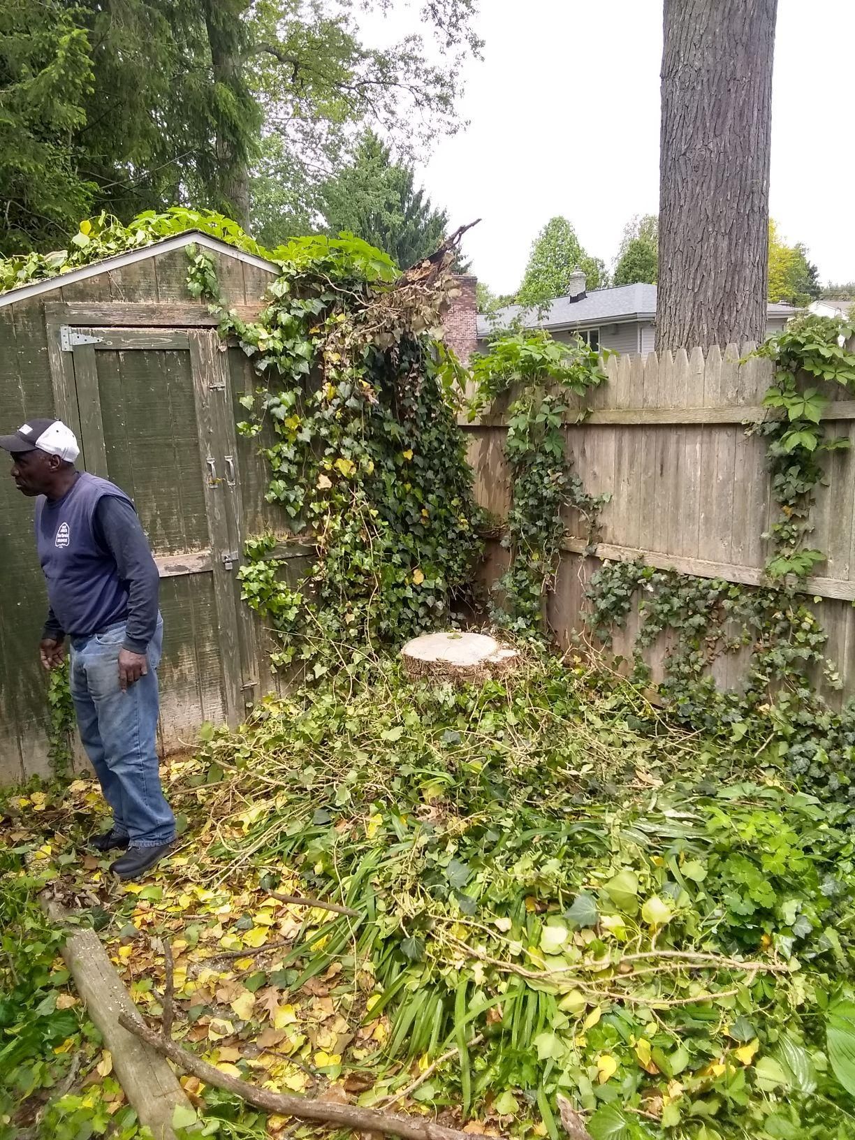 Tree Removal using Tree Removal by Mike Jones & Sons Tree Service LLC 