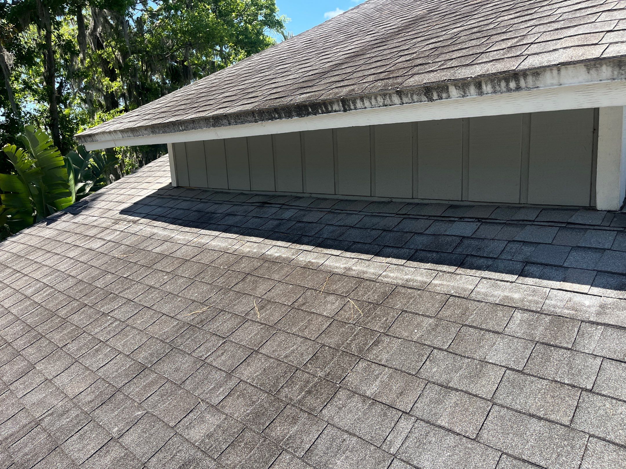 Shingle -> Shingle by Prime Roofing