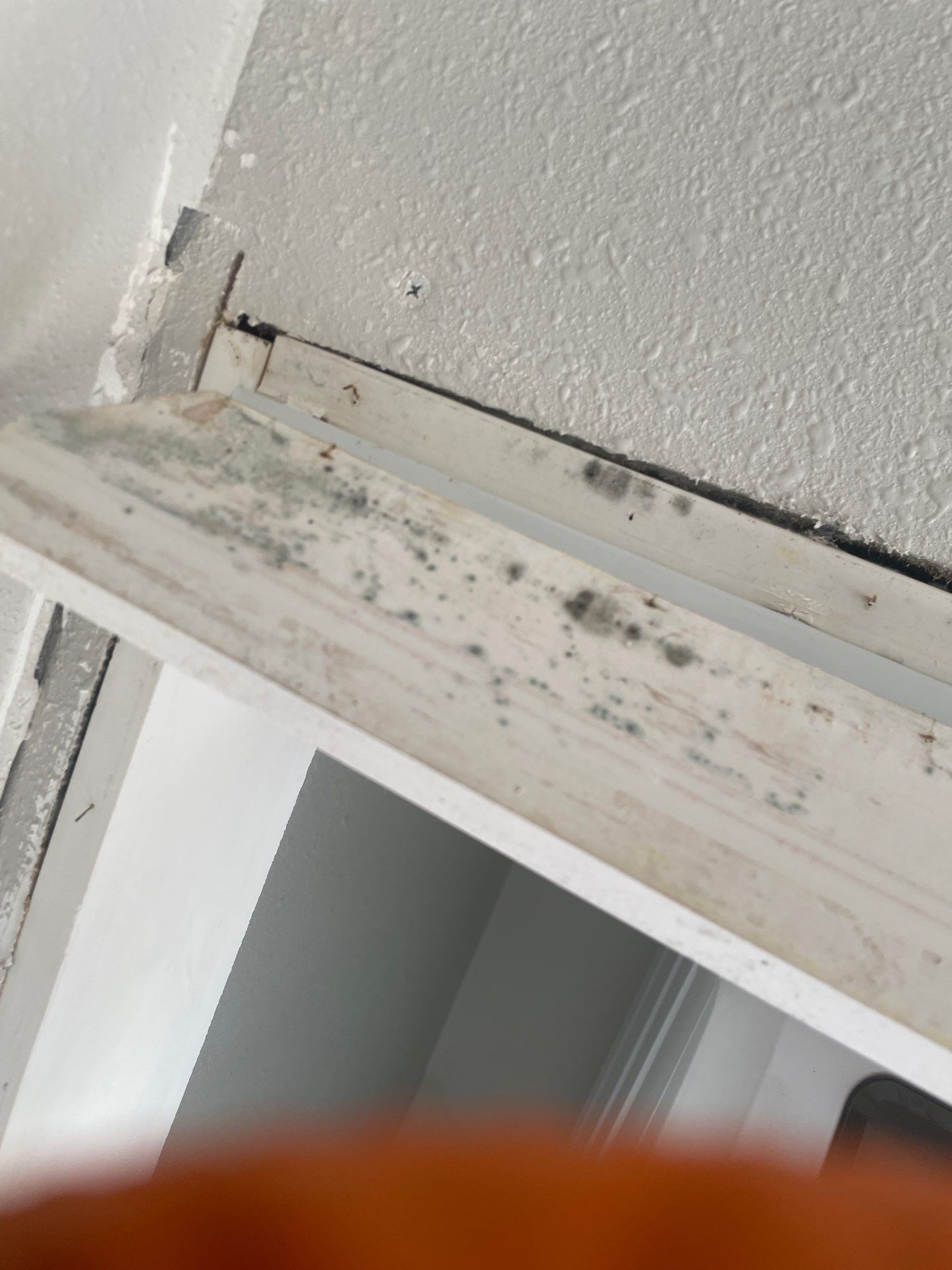 Water & Mold Remediation  by Dry Source Property Restoration 