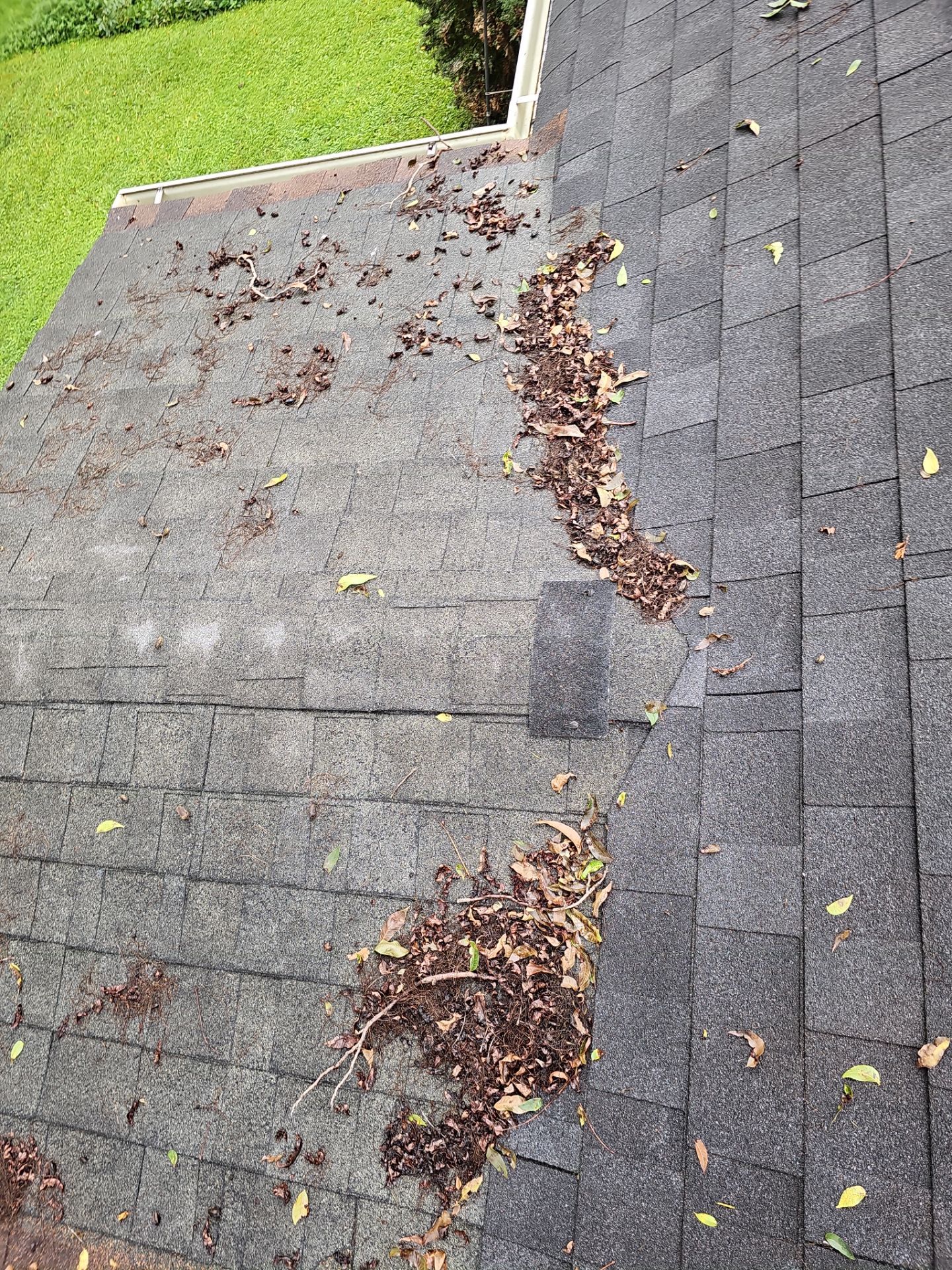 Judy roof replacement  by BROCK BUILDERS 