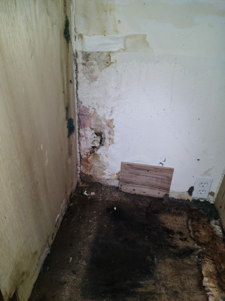 Mold Remediation using Containment by Accountable Home Services