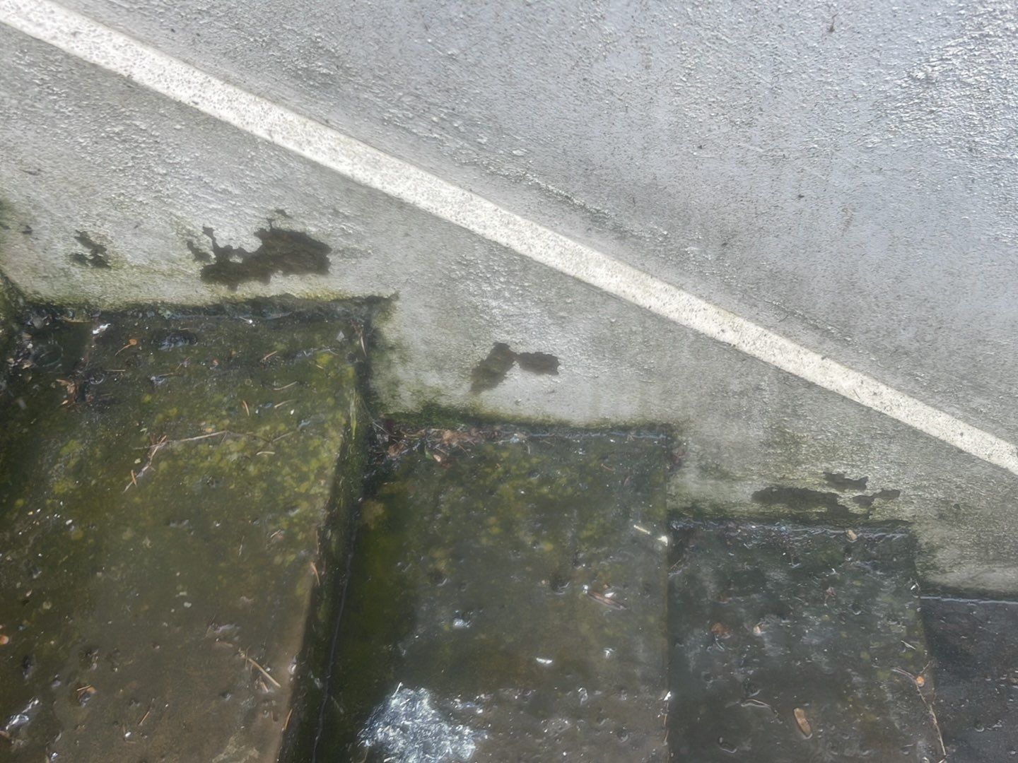 Render - Brickwork-Basement Patios using honda 21 ltr/min by Ges Exterior Cleaning ltd
