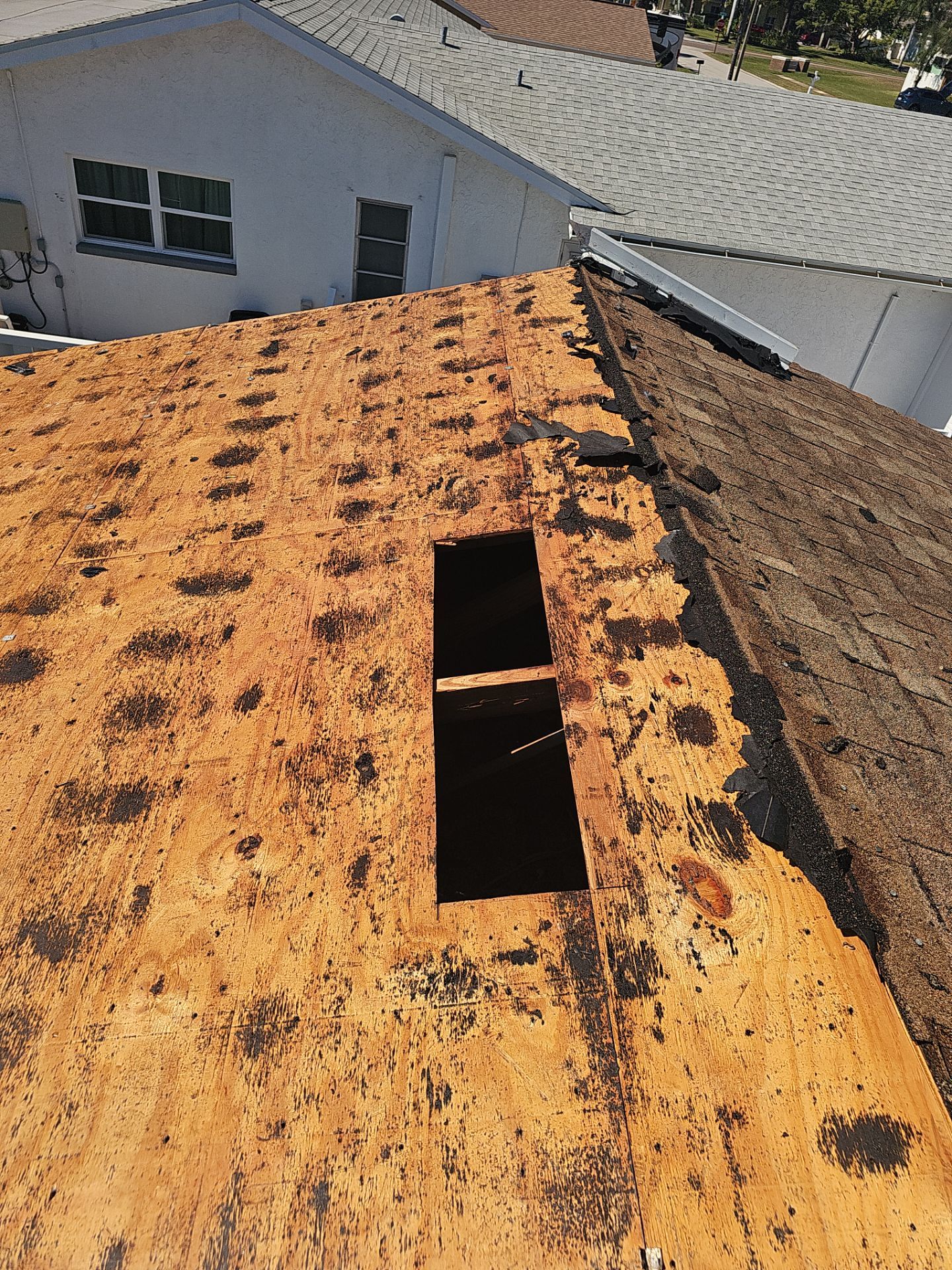 Project in Seminole 33776 by Mitchell Roofing Company LLC 