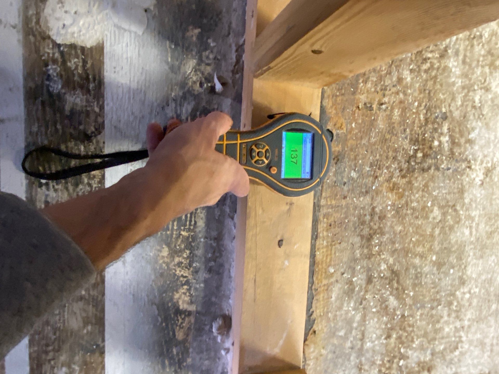 Project in Royal Oak by EzDry Water Mitigation & Property Restoration