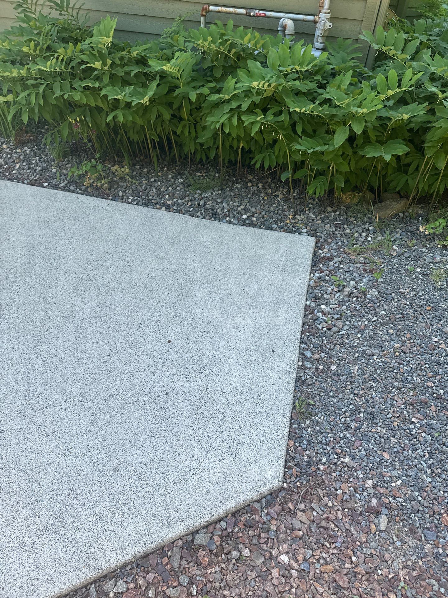 Project in North Bend by Clean Buildings