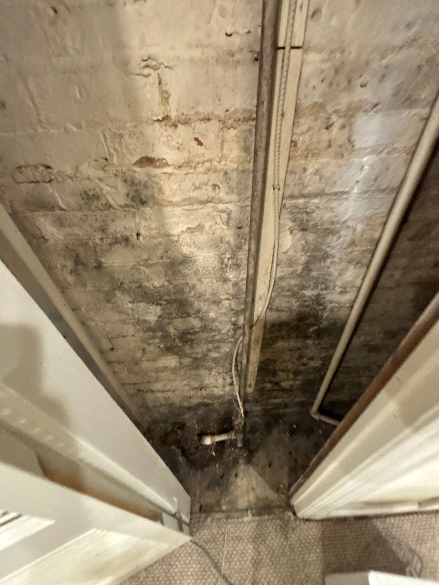 Project in Washington,DC by Greenspring Construction Services