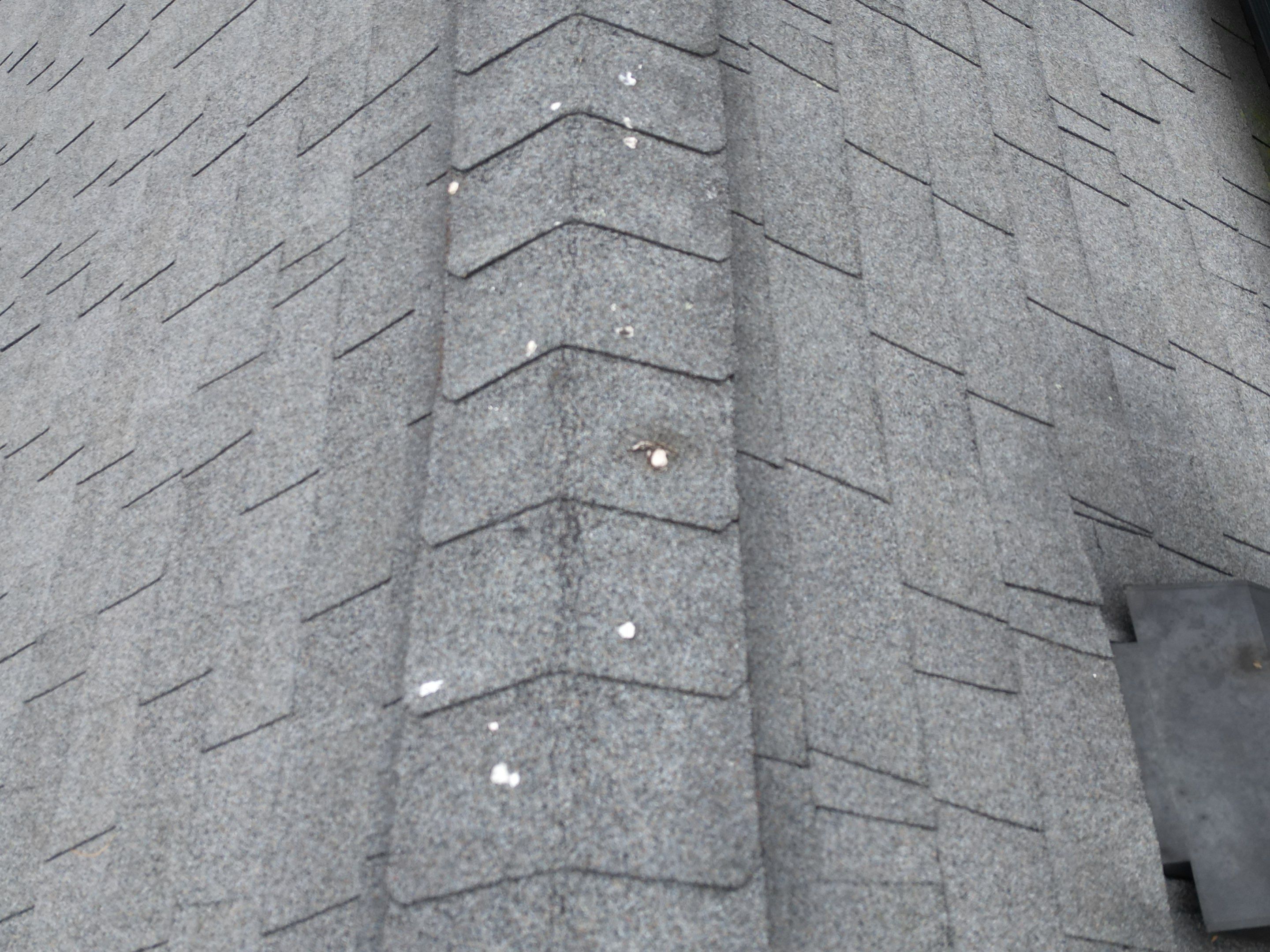 Roofing | Woburn by Mighty Dog Roofing of Greater Middlesex County