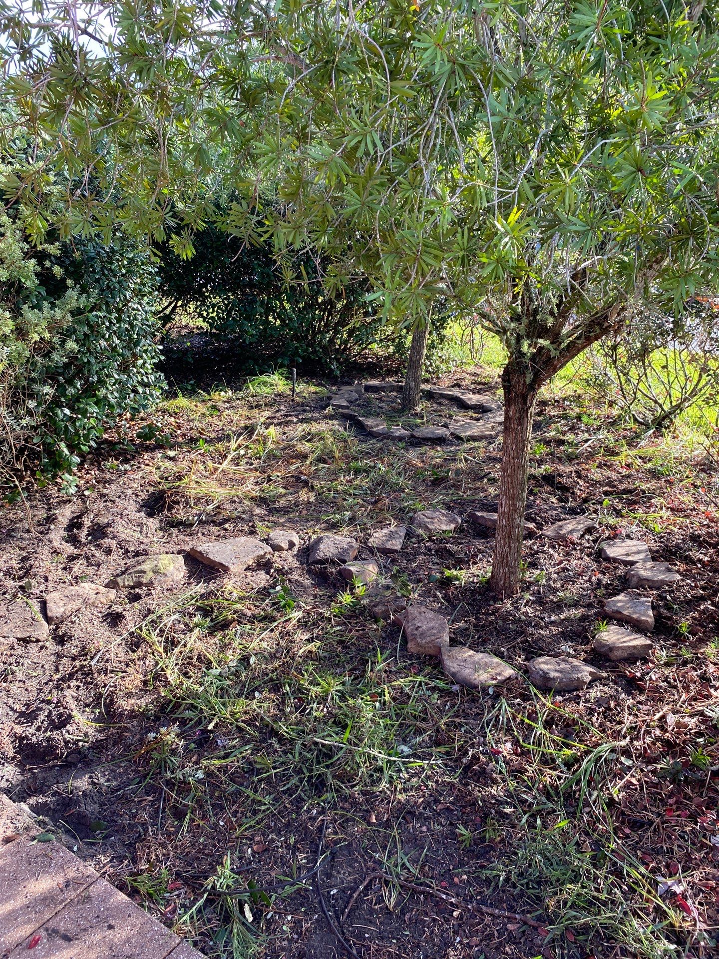 Deerwood Residence | Extreme Clean Up by ProGreen Services