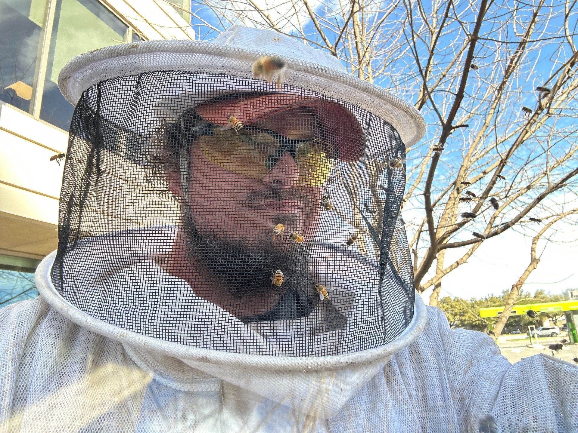 Urban bee hive in North Dallas by Rockwall Honey Bee Company