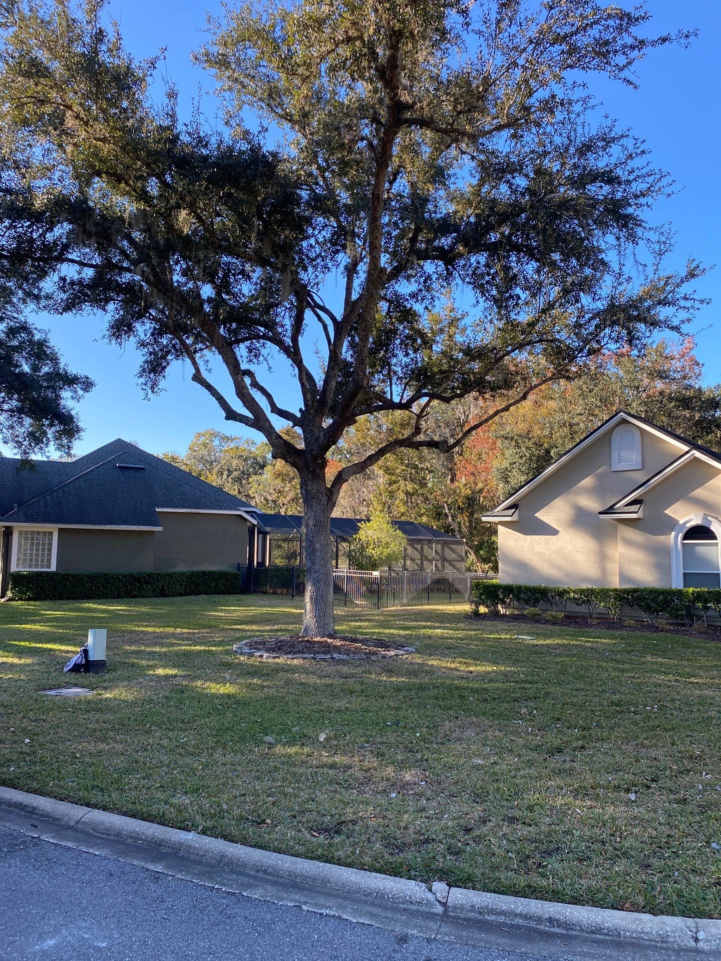 Residential | Tree Service by ProGreen Services