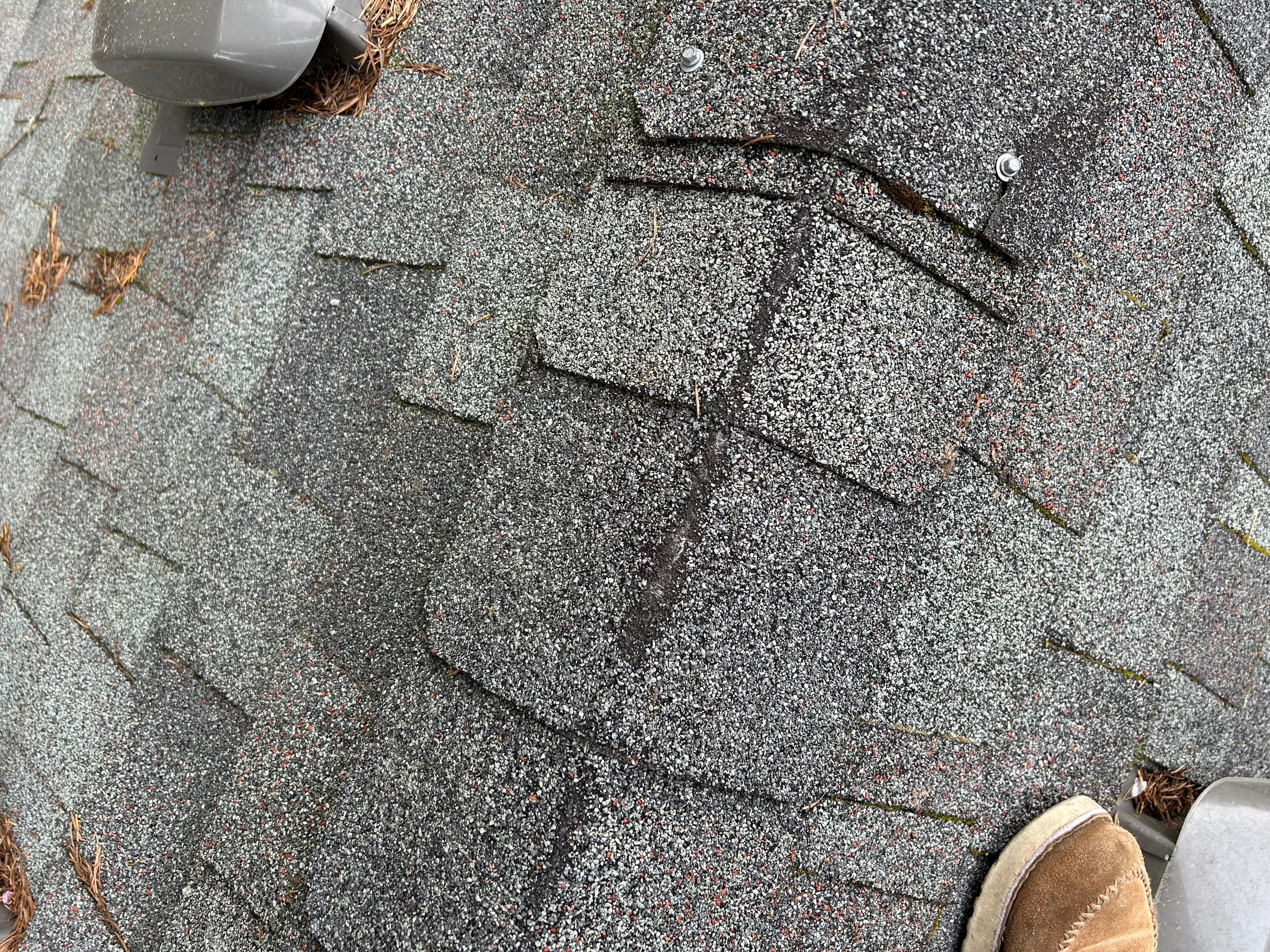 Project in Redmond by Peaks and Valleys Construction