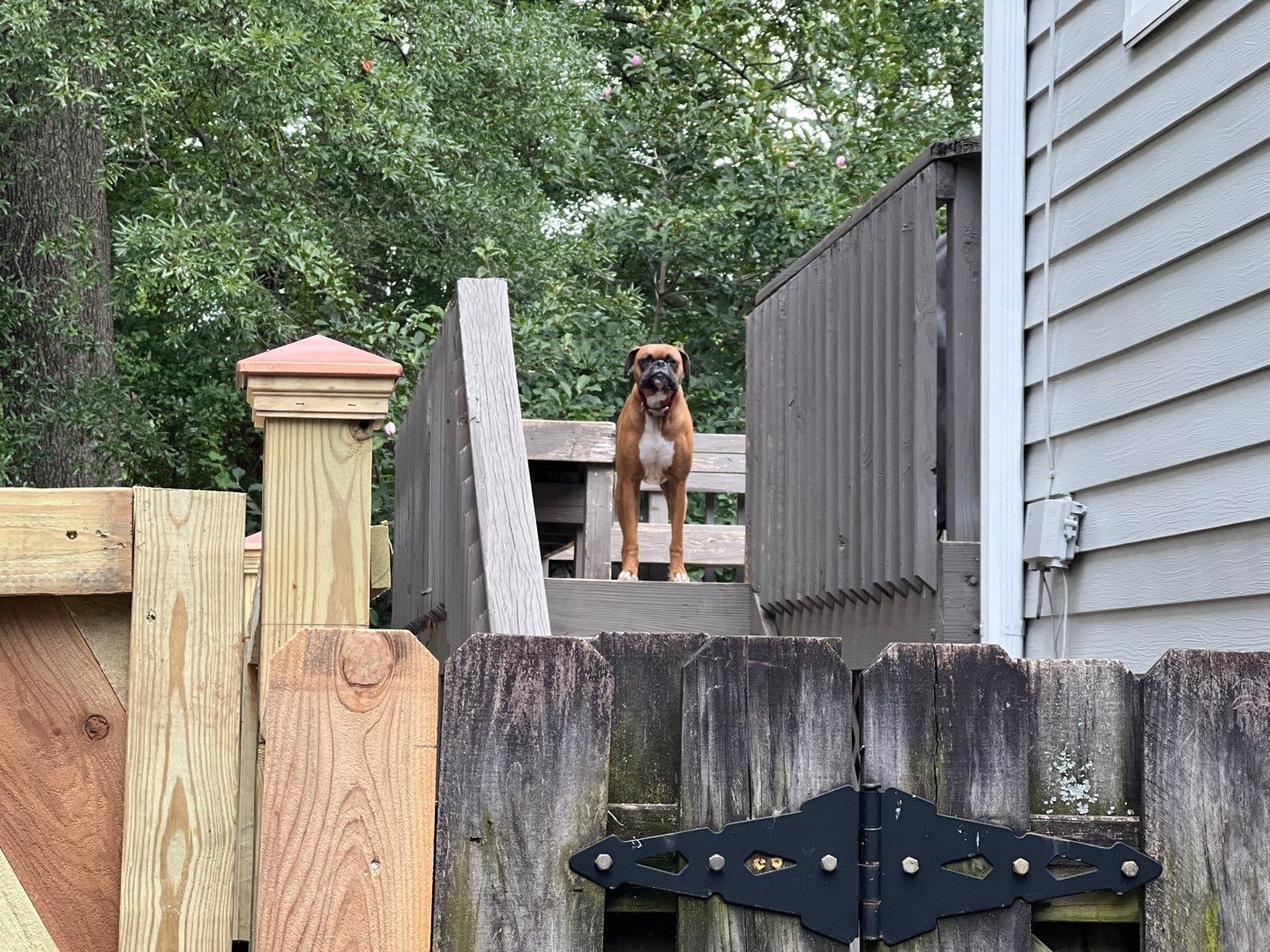 Melrose - Fence by Pillar and Pine