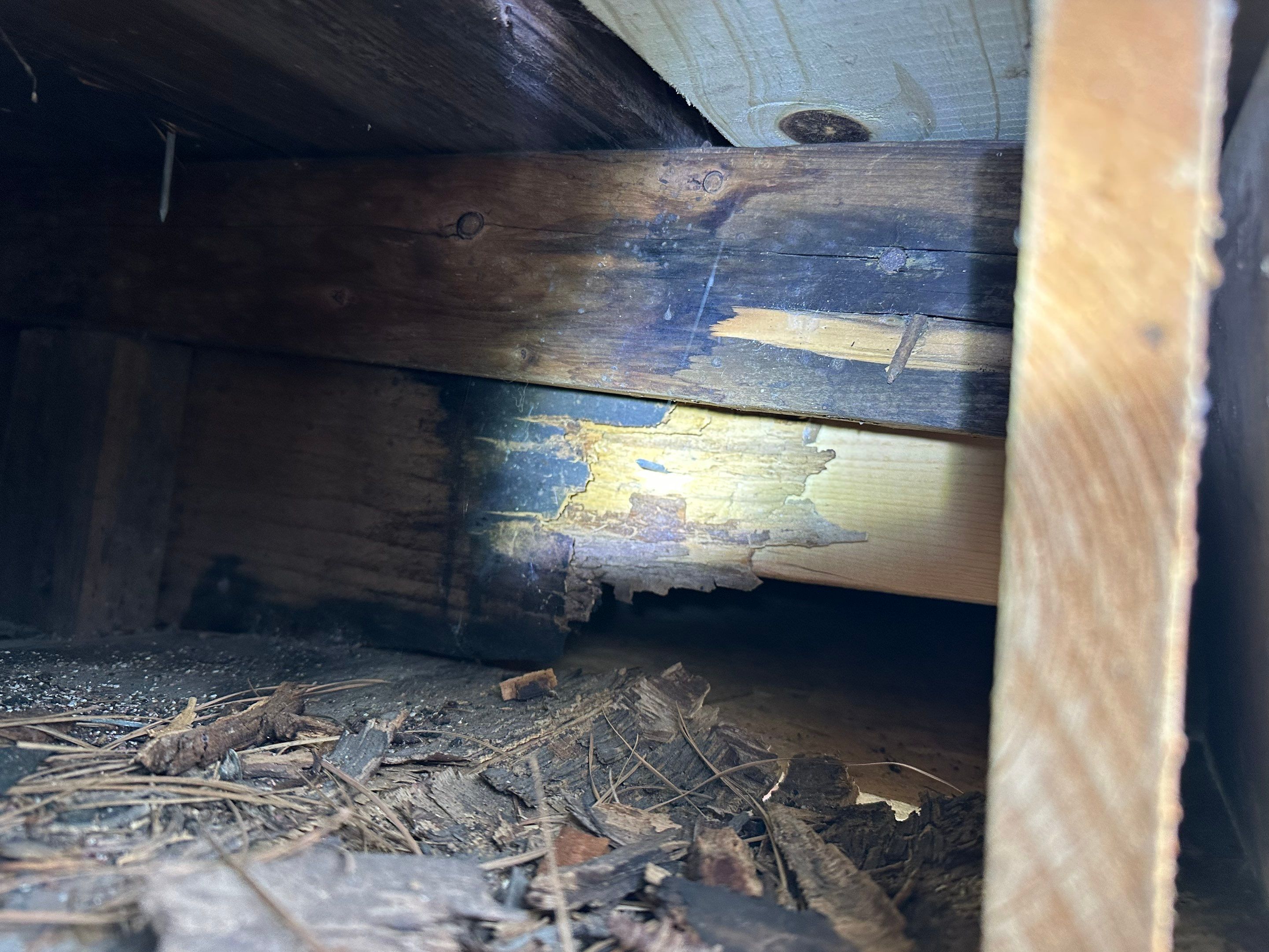 Project in Kinston, NC by Ironclad Builders LLC