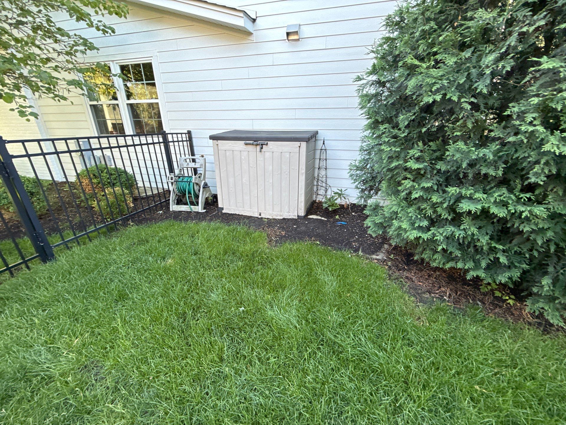 Lesley D. - Arlington Heights, IL by A&N 