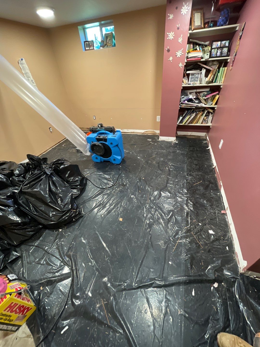 Water Damage and Mold Remediation by Accountable Home Services