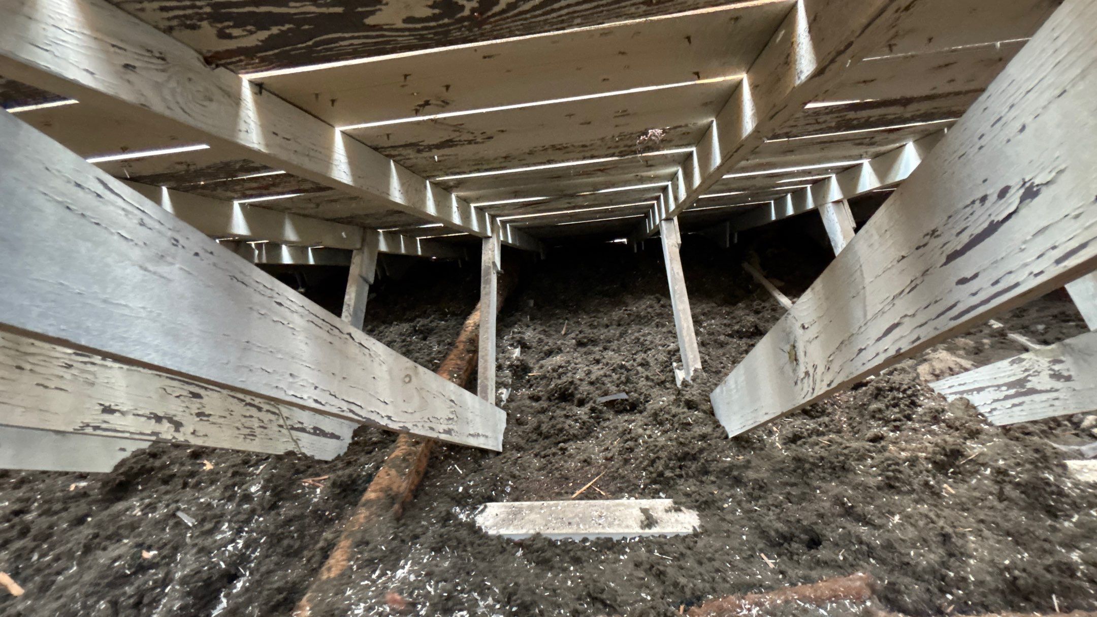 Roof Replacement using Owens Corning Summer Harvest by 180 Contractors