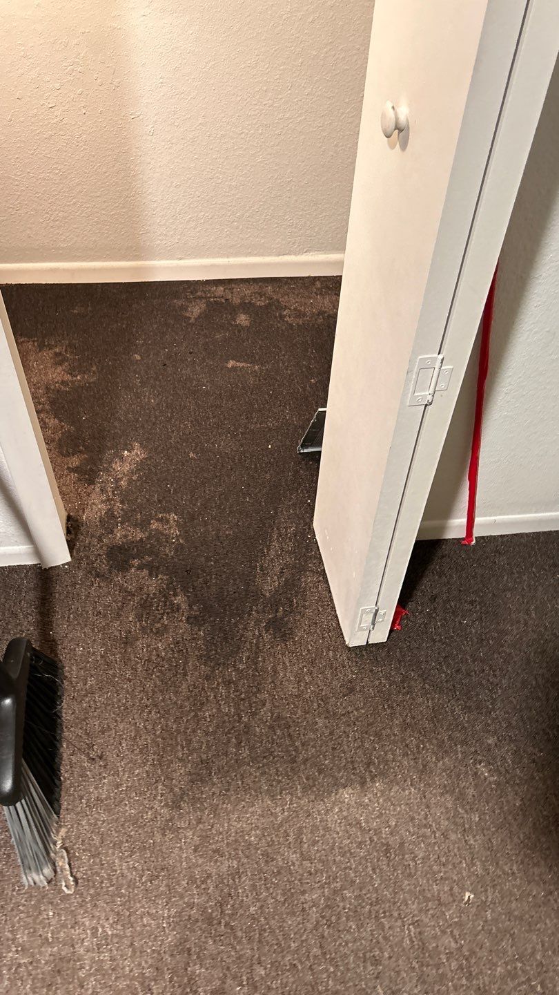 Water Damage by Accountable Home Services