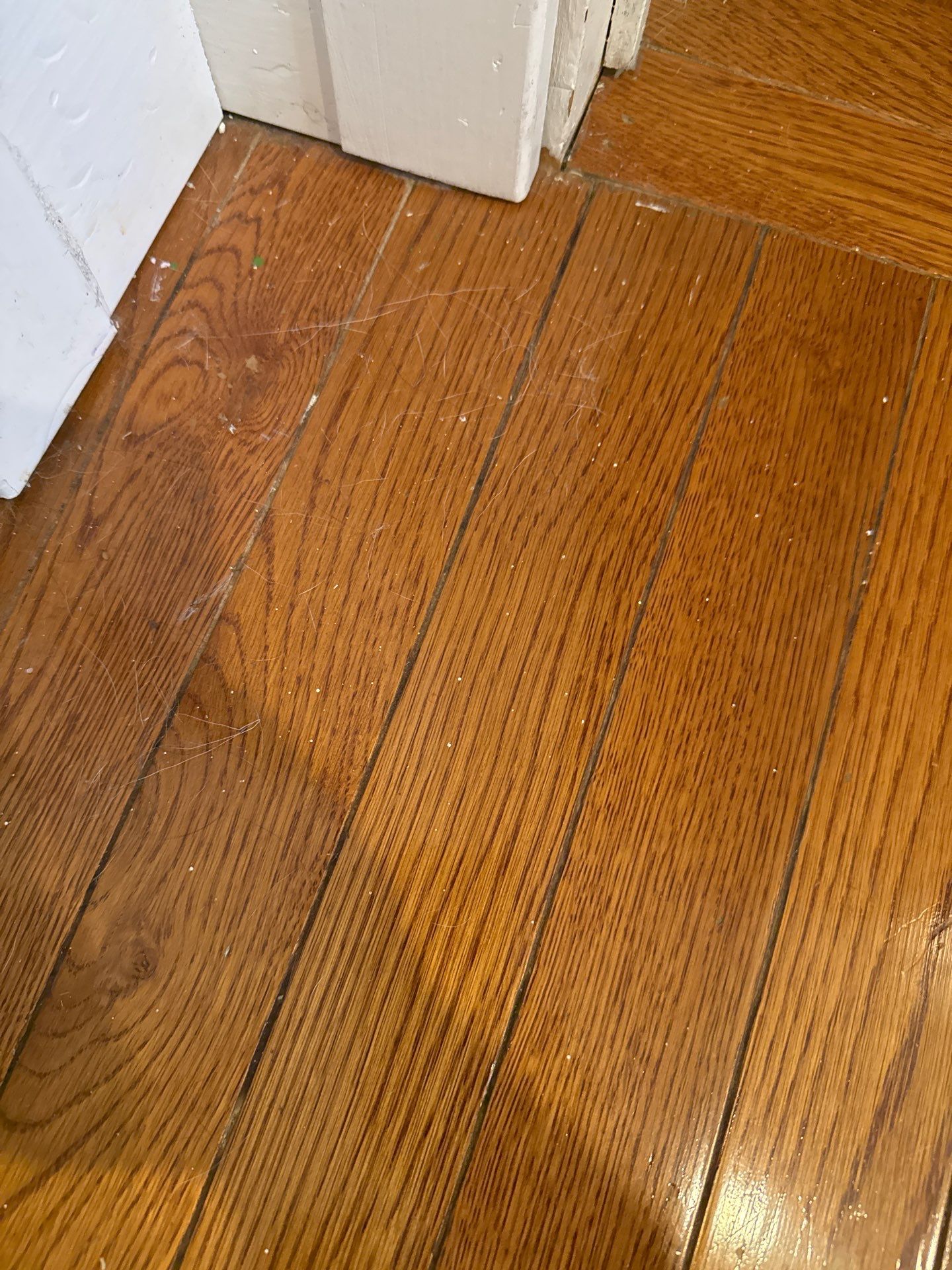 Interior Home Painting in Philadelphia, PA by Groovy Hues