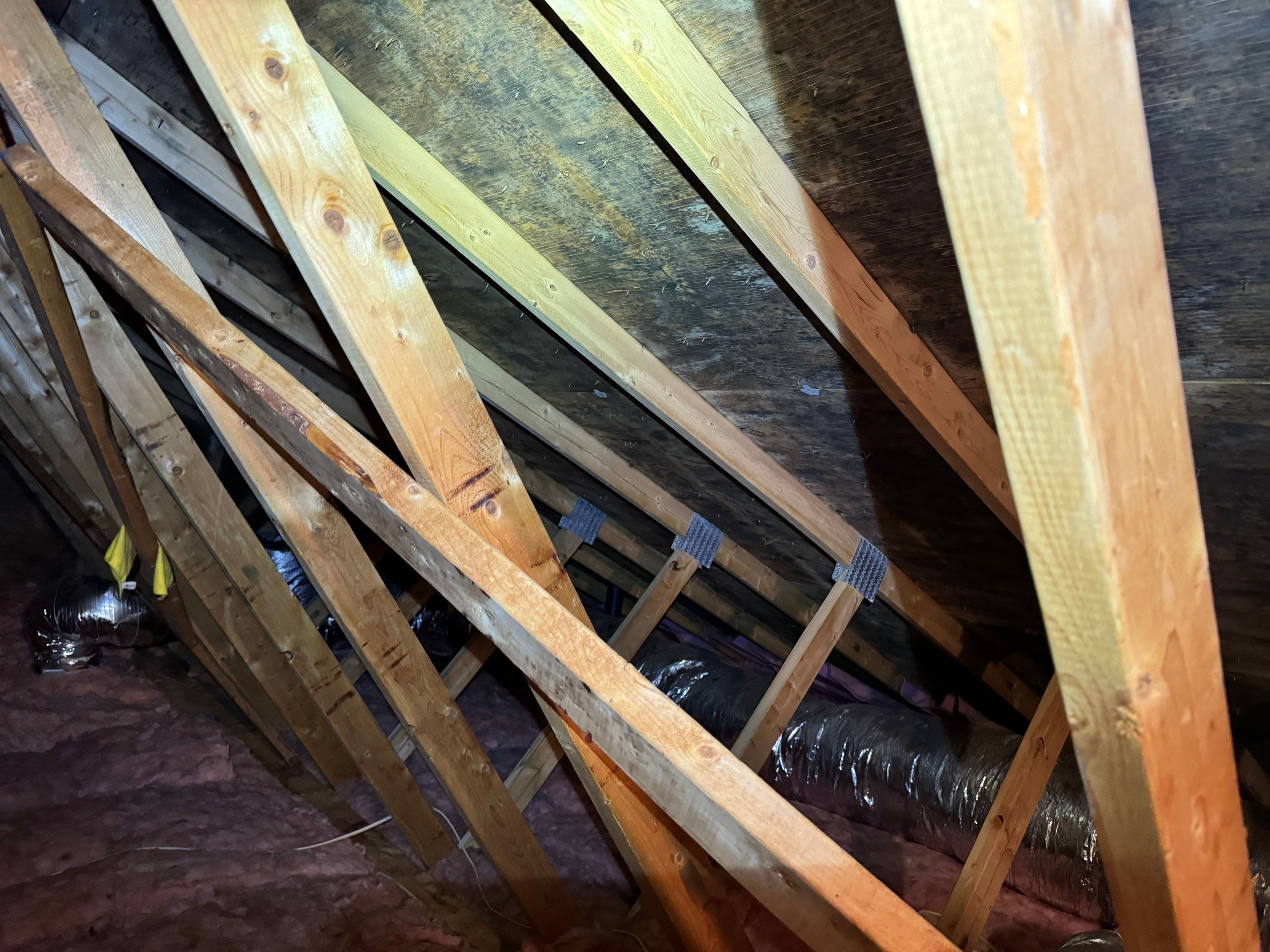 Attic Mold Remediation by Home Guarantee, LLC