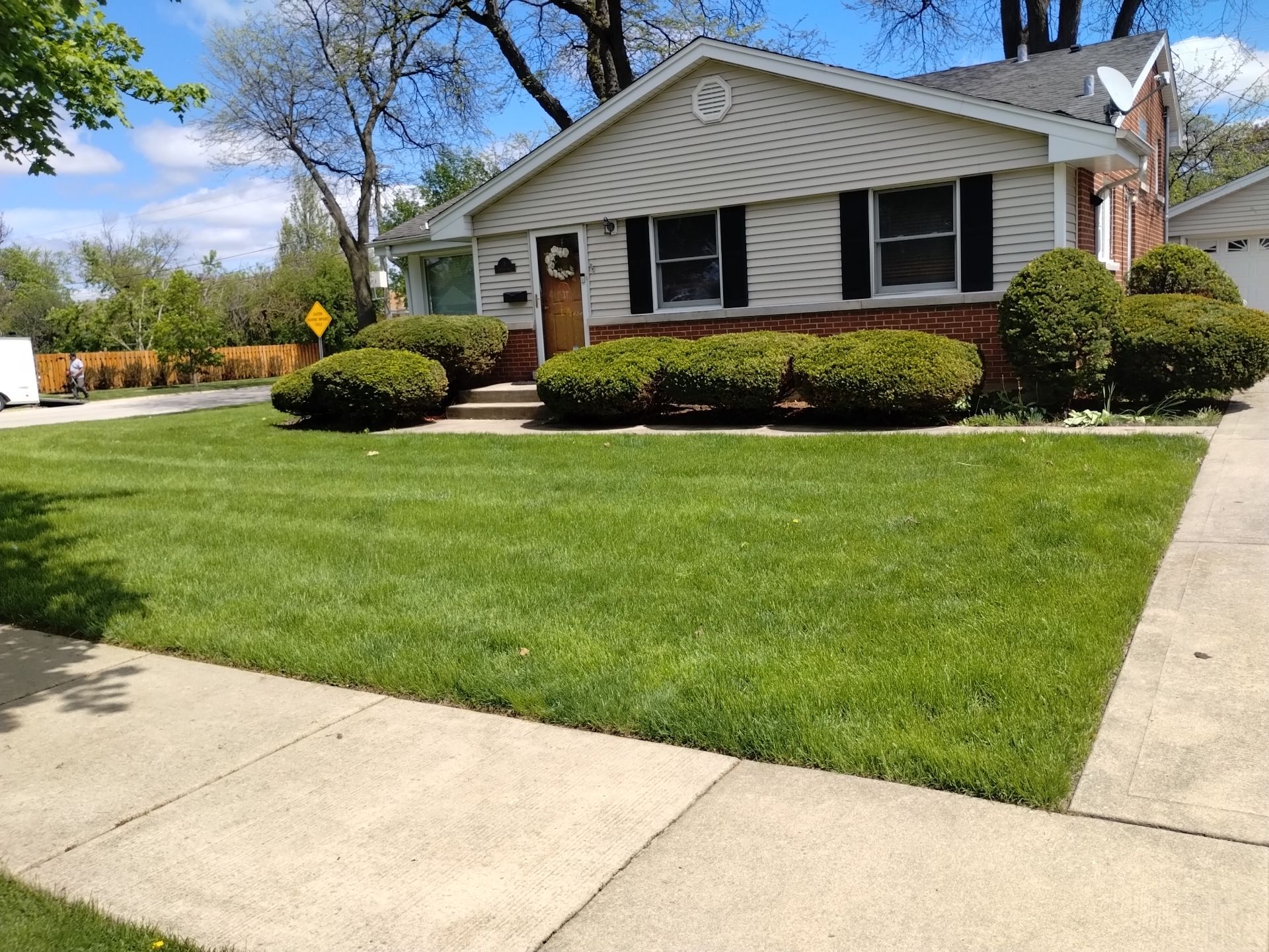 Lauren T. - Arlington Heights, IL by A&N