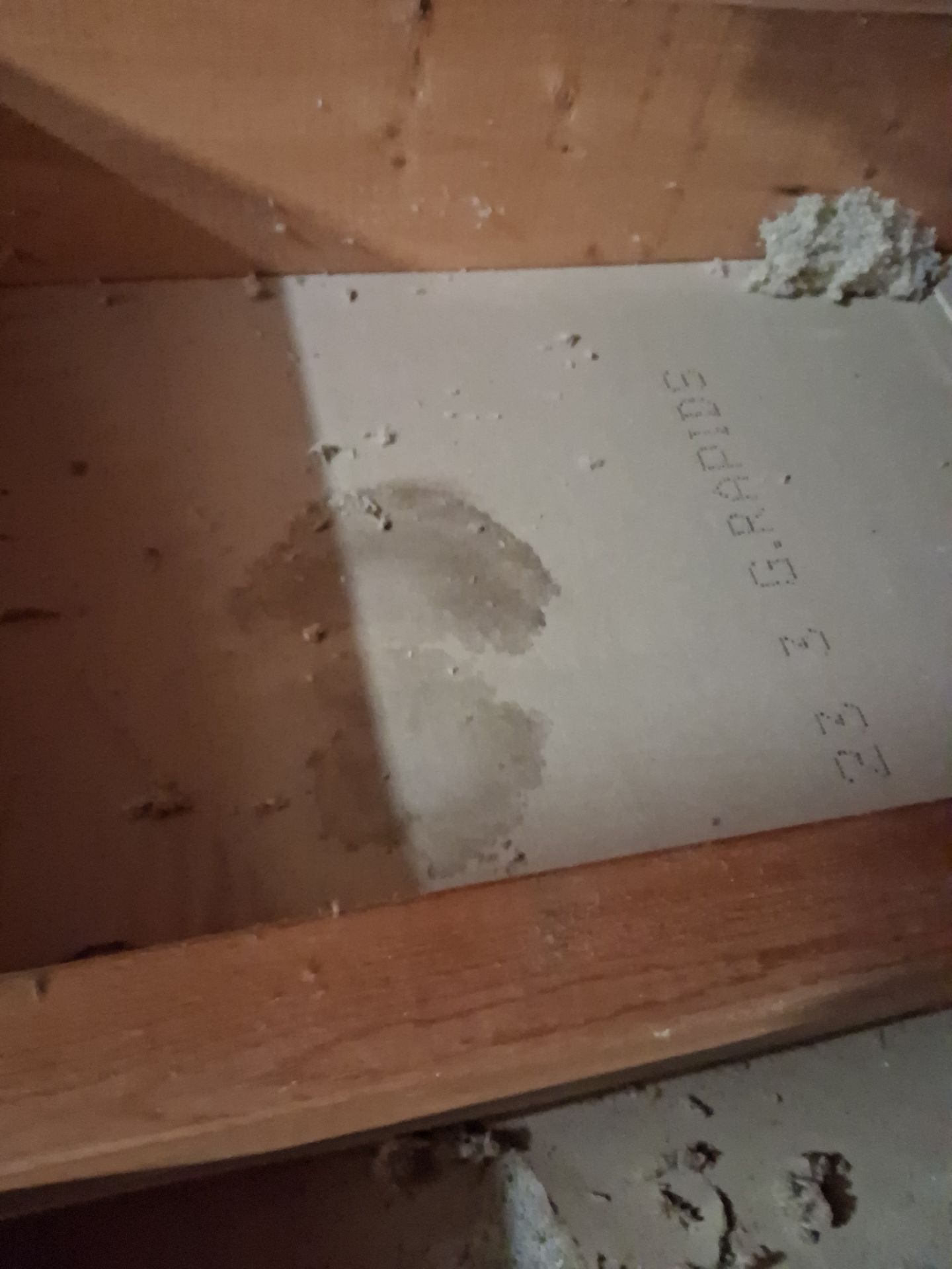 Attic Insulation and Repair by Toledo Basement Repair