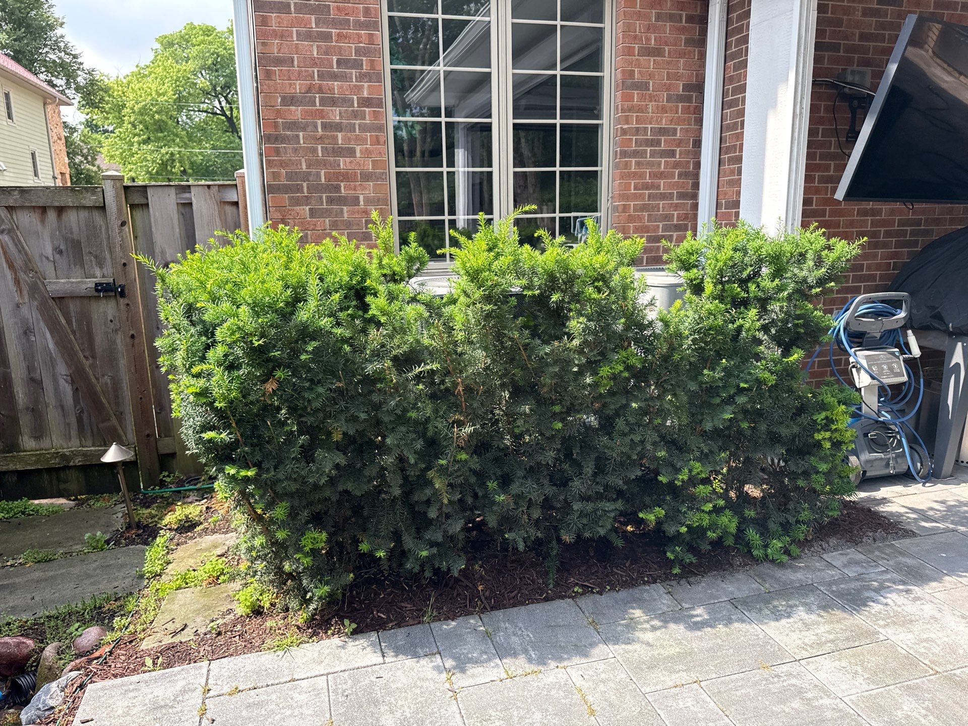 Kevin K. - Deerfield, IL by A&N