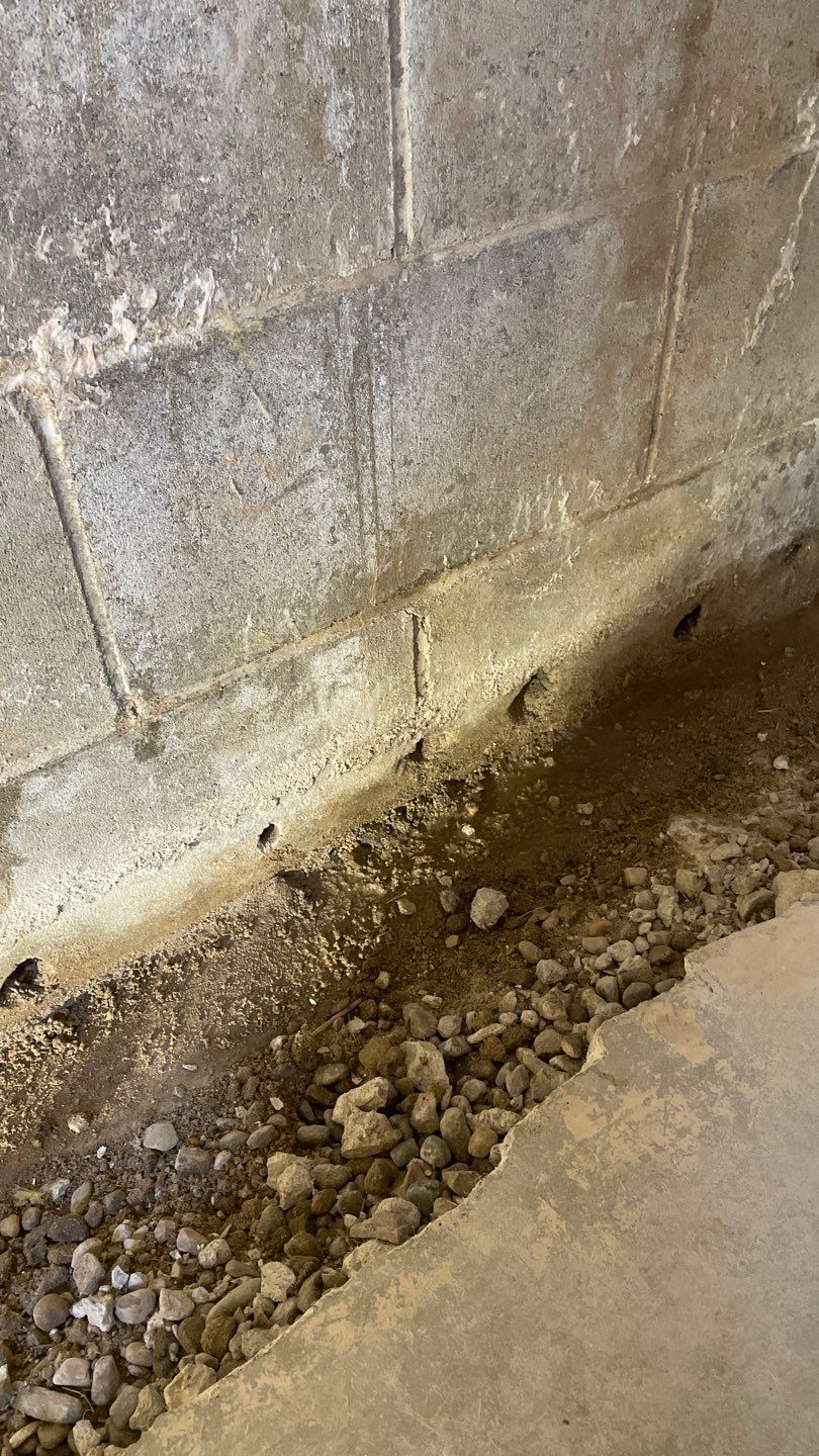 Retrofitting Drainage Board in Lino Lakes by Waterproofing Northeast