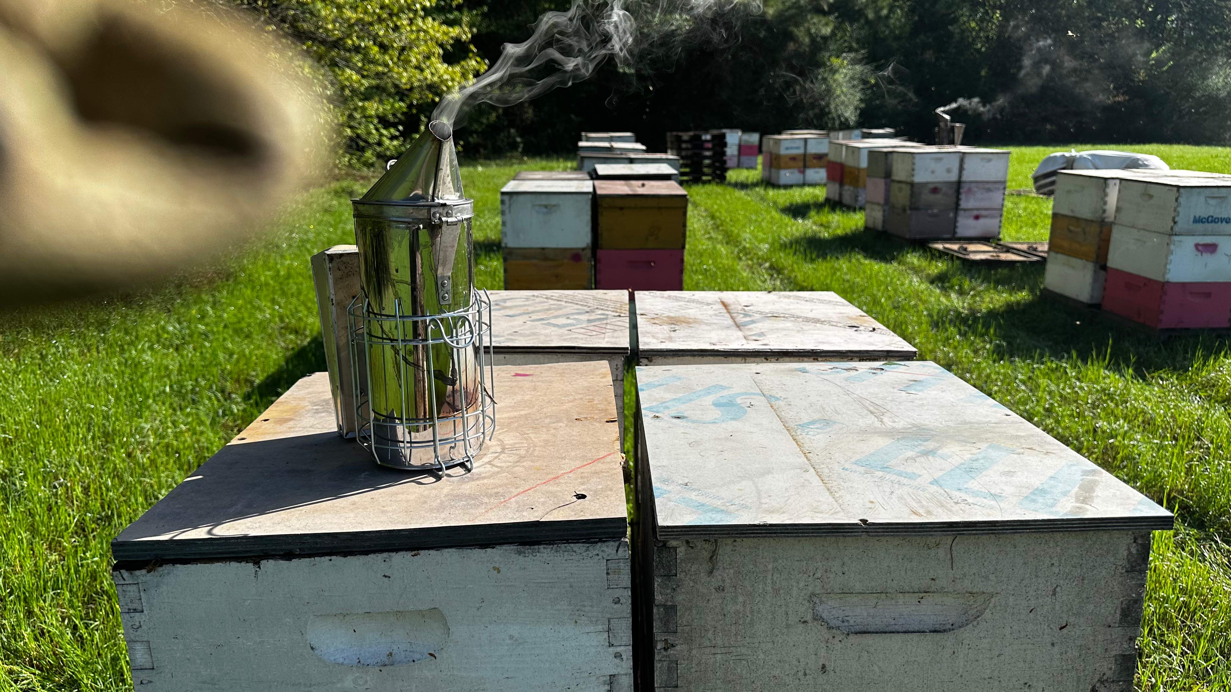Traylor's Hay Meadow Apiary by Rockwall Honey Bee Company