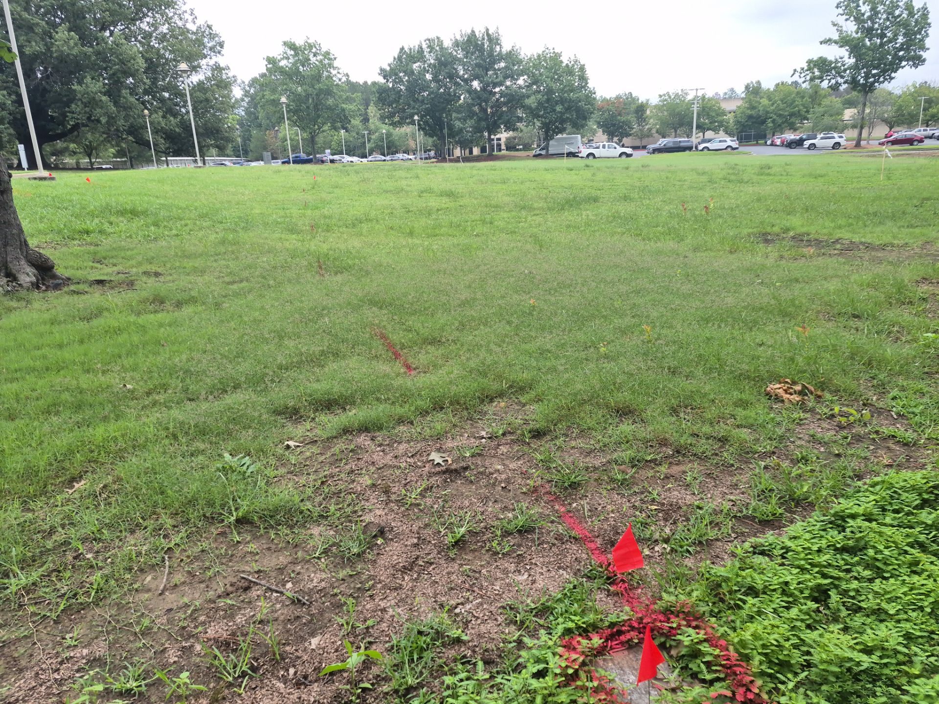 Private Utility Locating and Marking for Collierville Commercial Campus by Alsip Locating Service, LLC