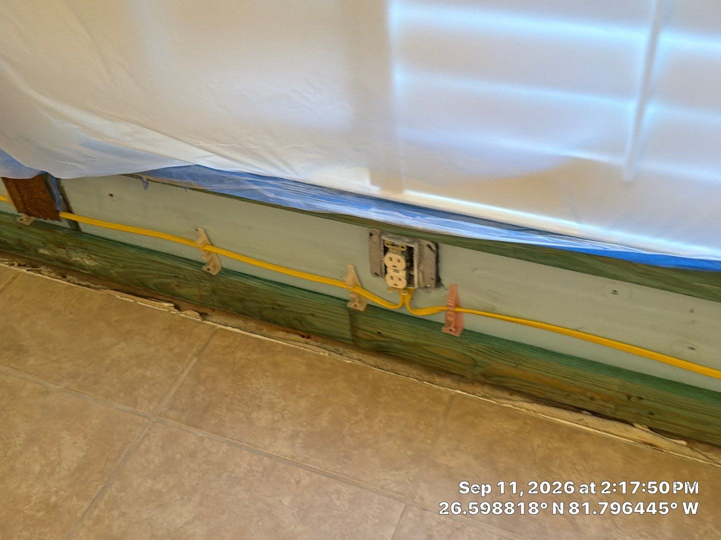 Fort Myers Water Damage Restoration and Professional Mold Remediation by Microscope