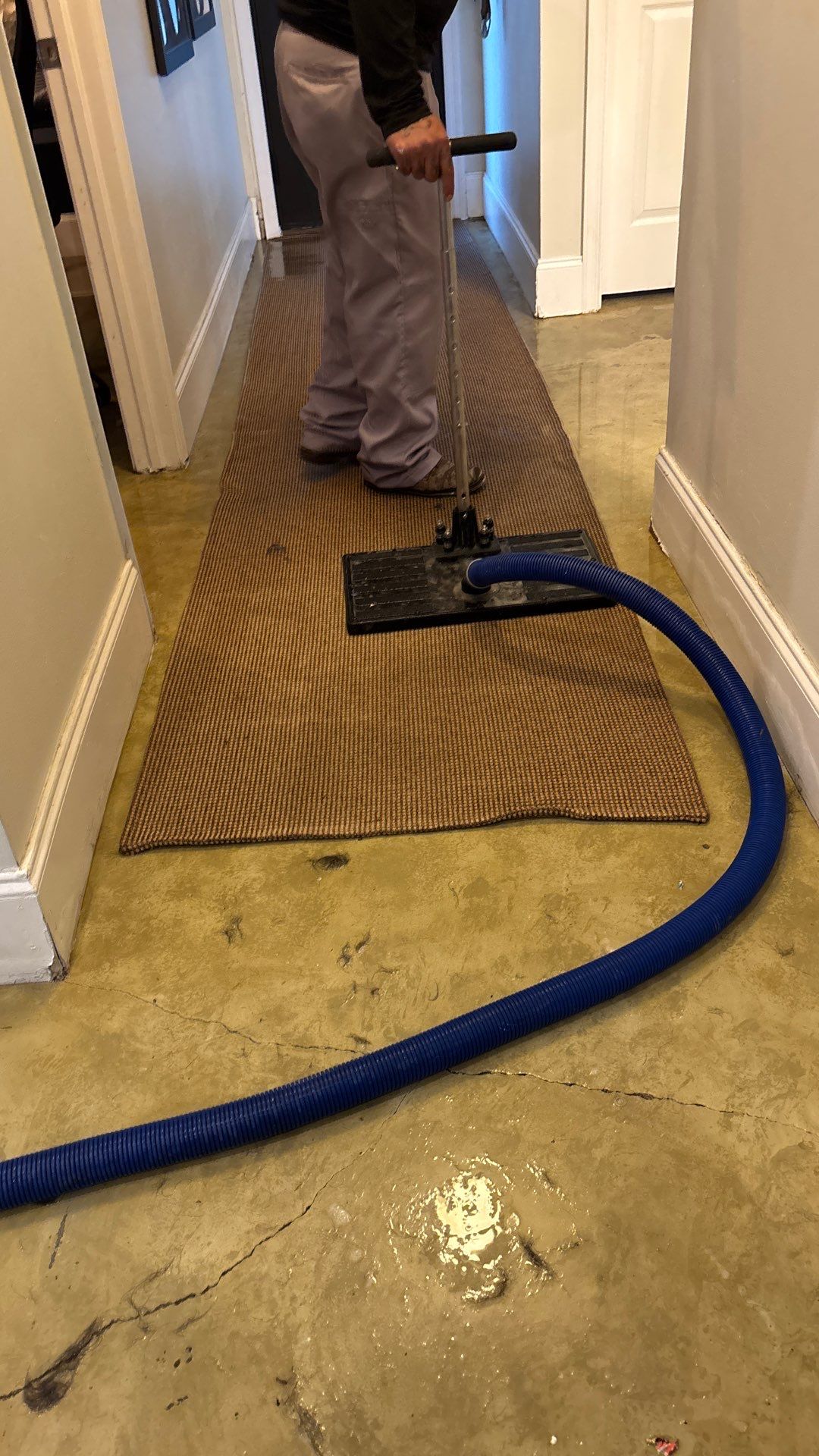 Wellington Water Damage Restoration with Thermal Imaging and Extraction by SuperClean 