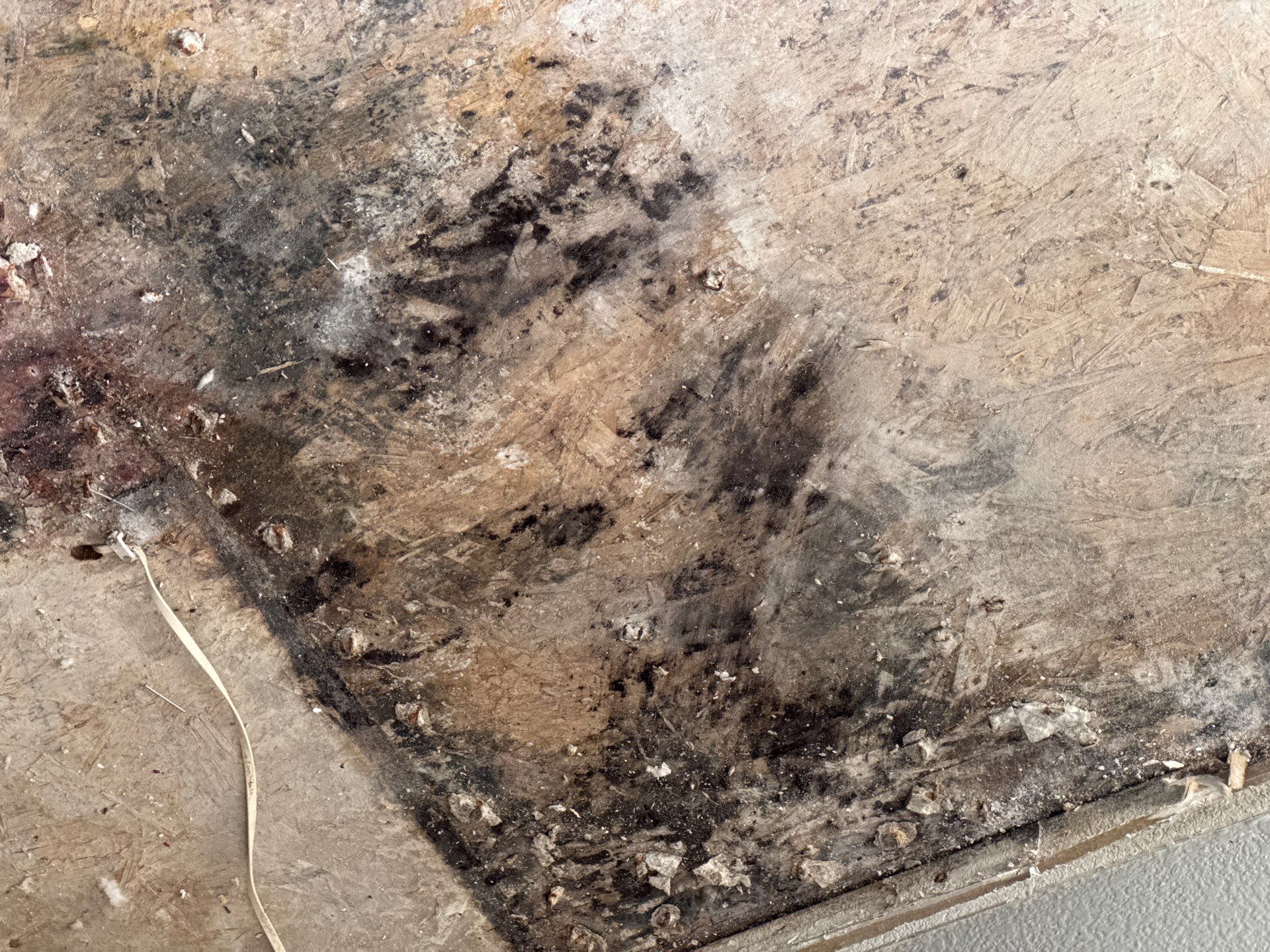 Project in Thornton by Accountable Home Services