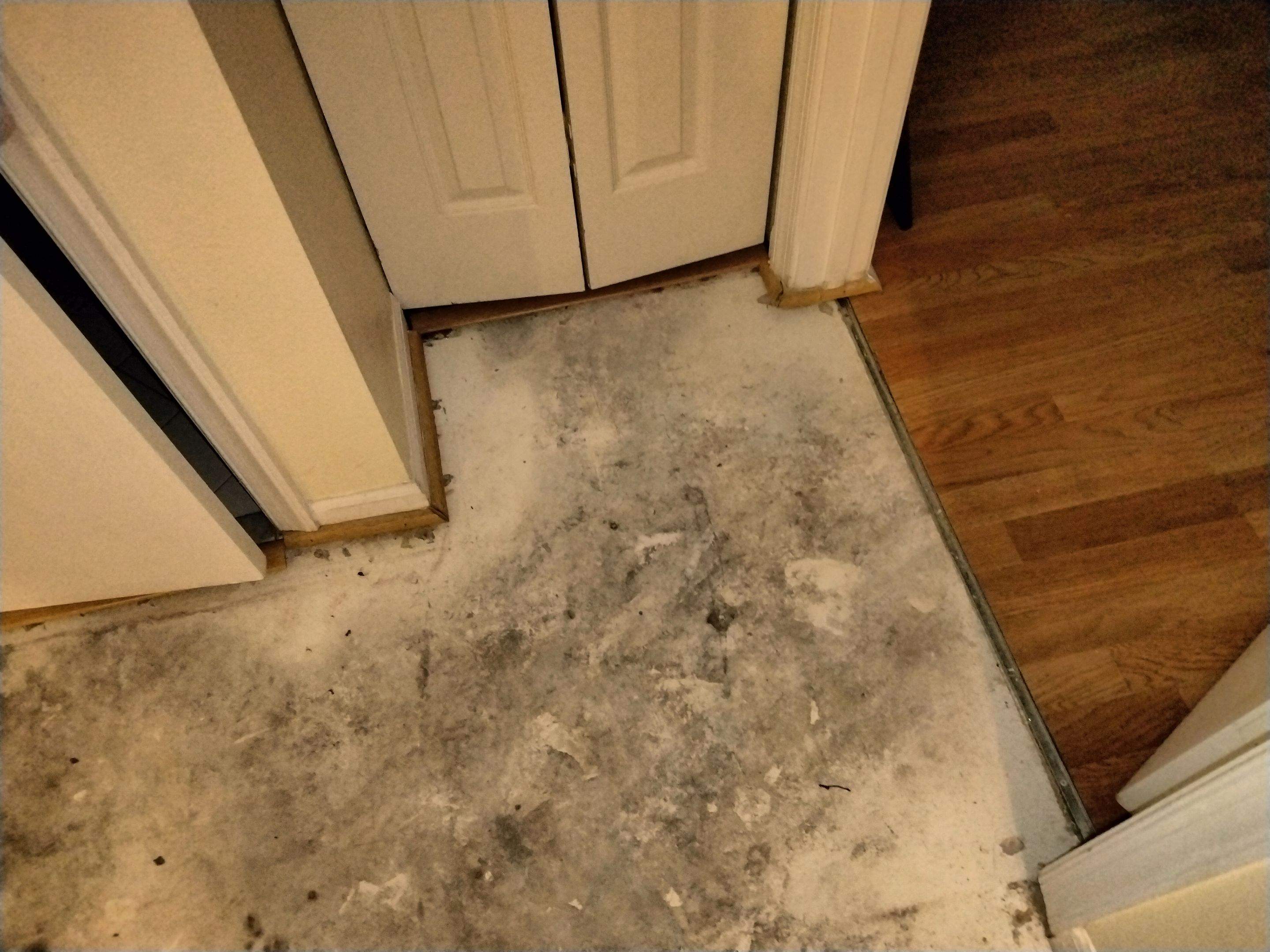 Water Damage Claim in West Palm Beach by FLAPA & KeyStone