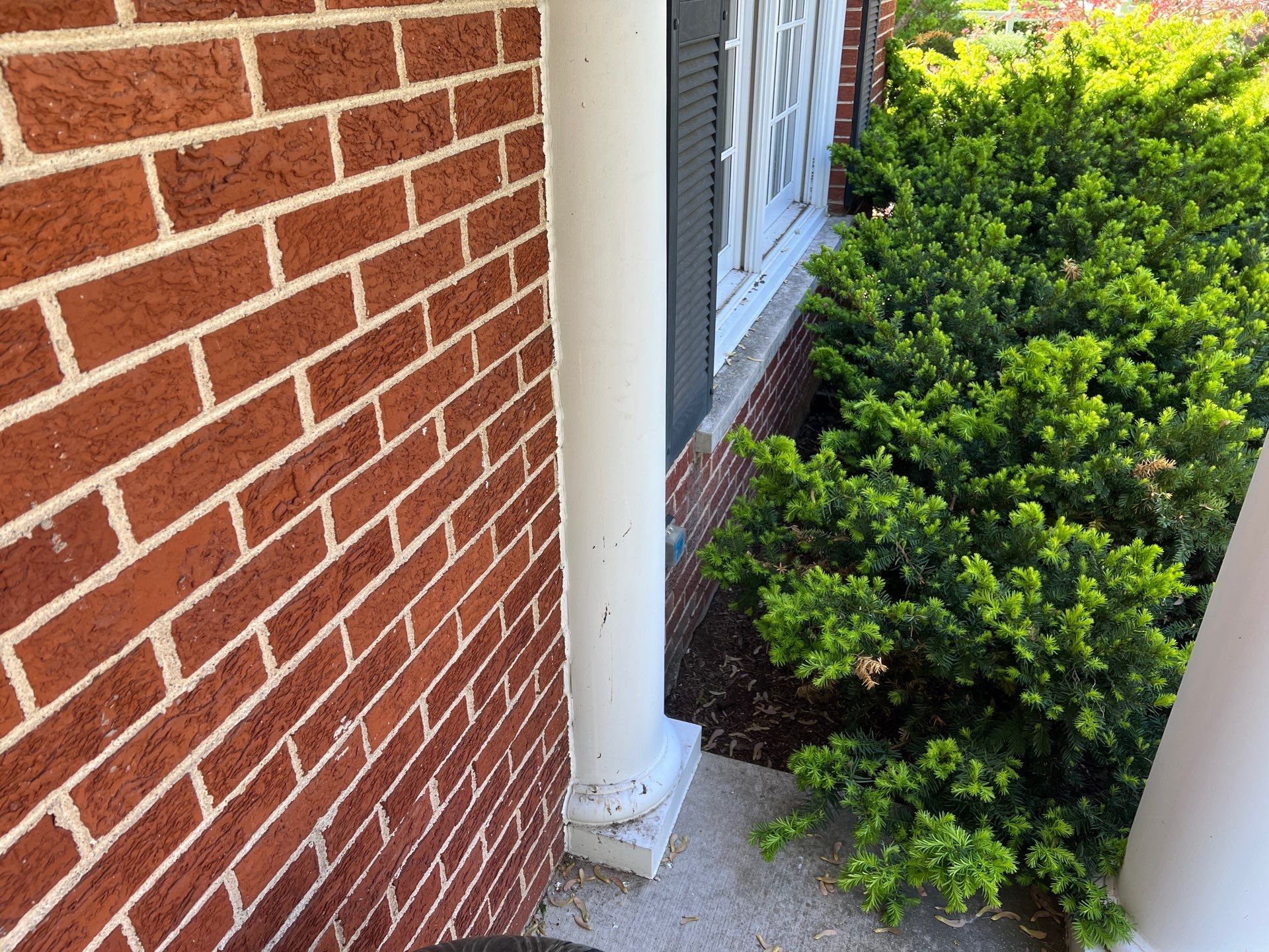 Housewashing  using Algaecide, soft wash soap by Northern Power Washing LLC.