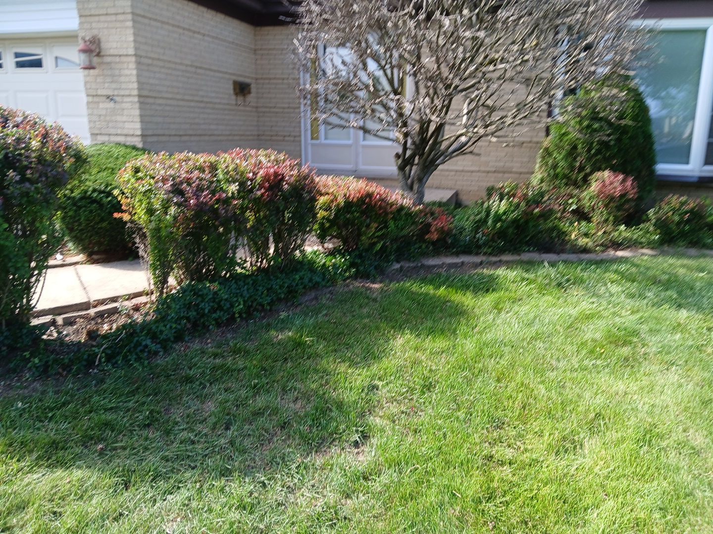 Andrew L. - Arlington Heights, IL by A&N