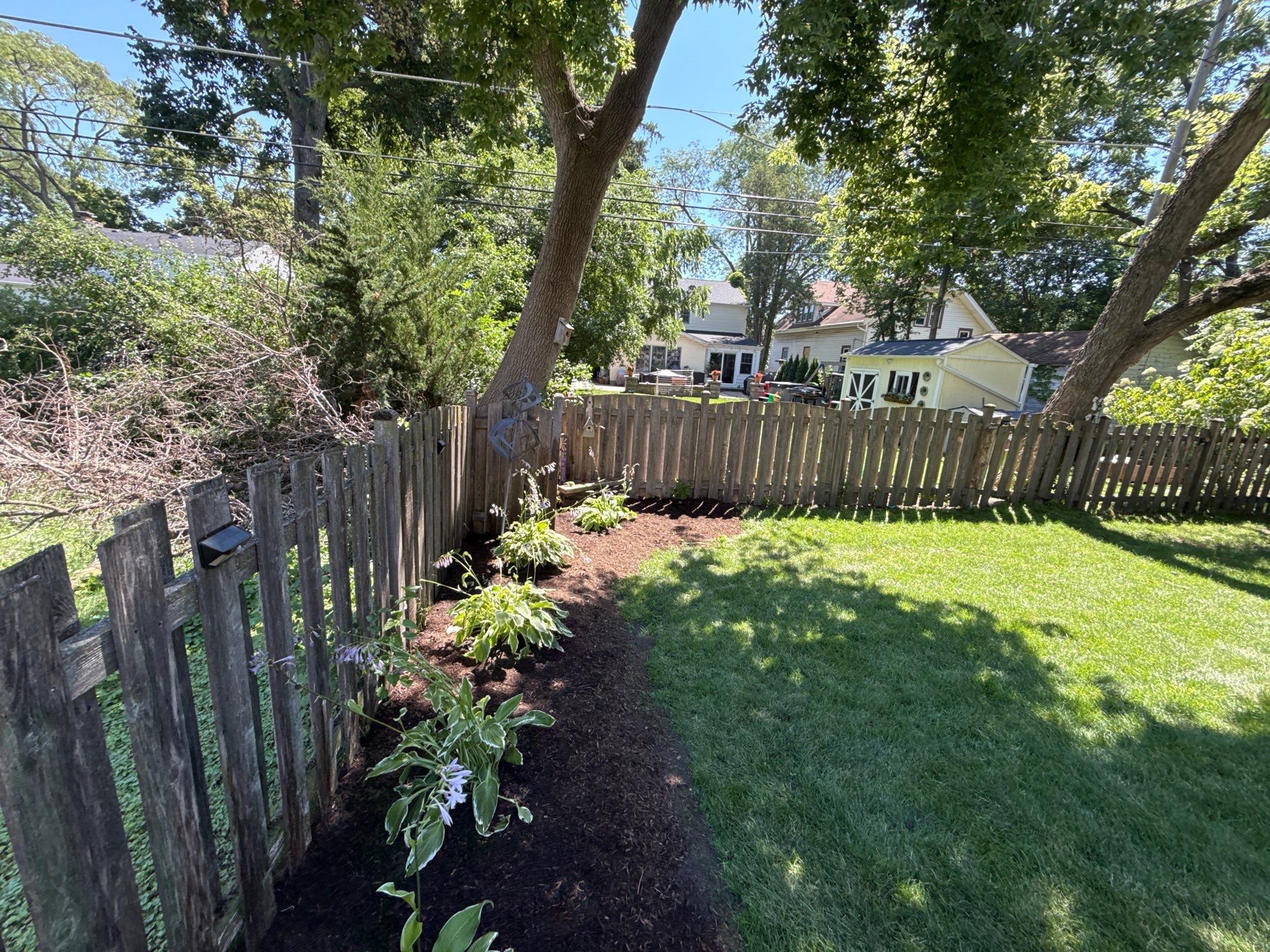 Tony B. - Arlington Heights, IL by A&N