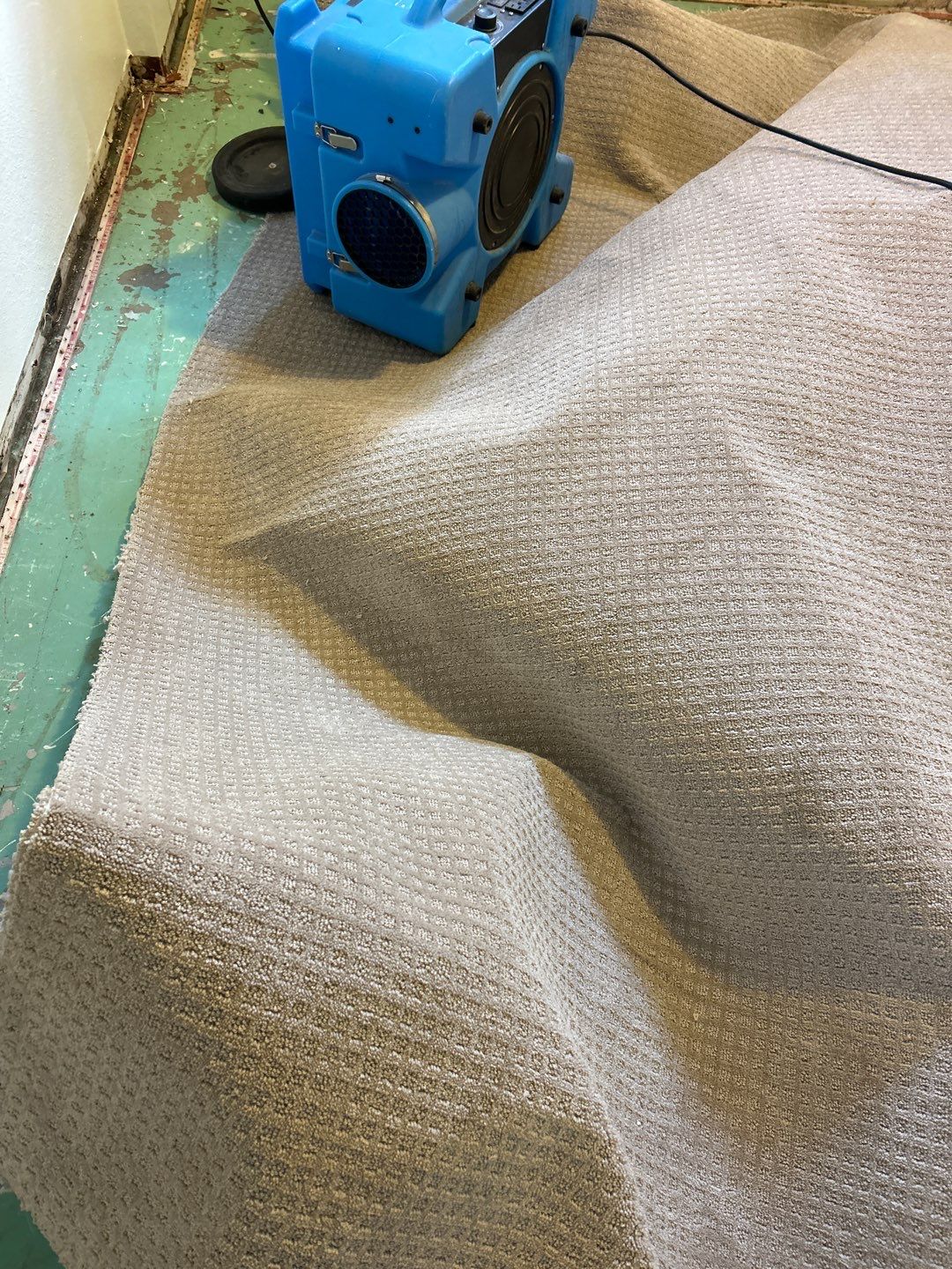 Mold Remediation by Accountable Home Services