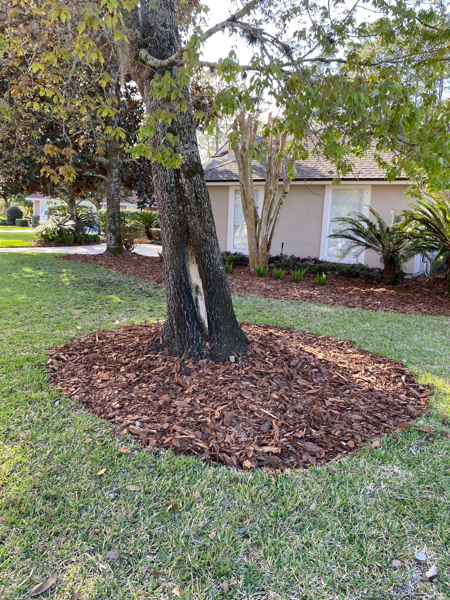 Residential | Landscaping by ProGreen Services