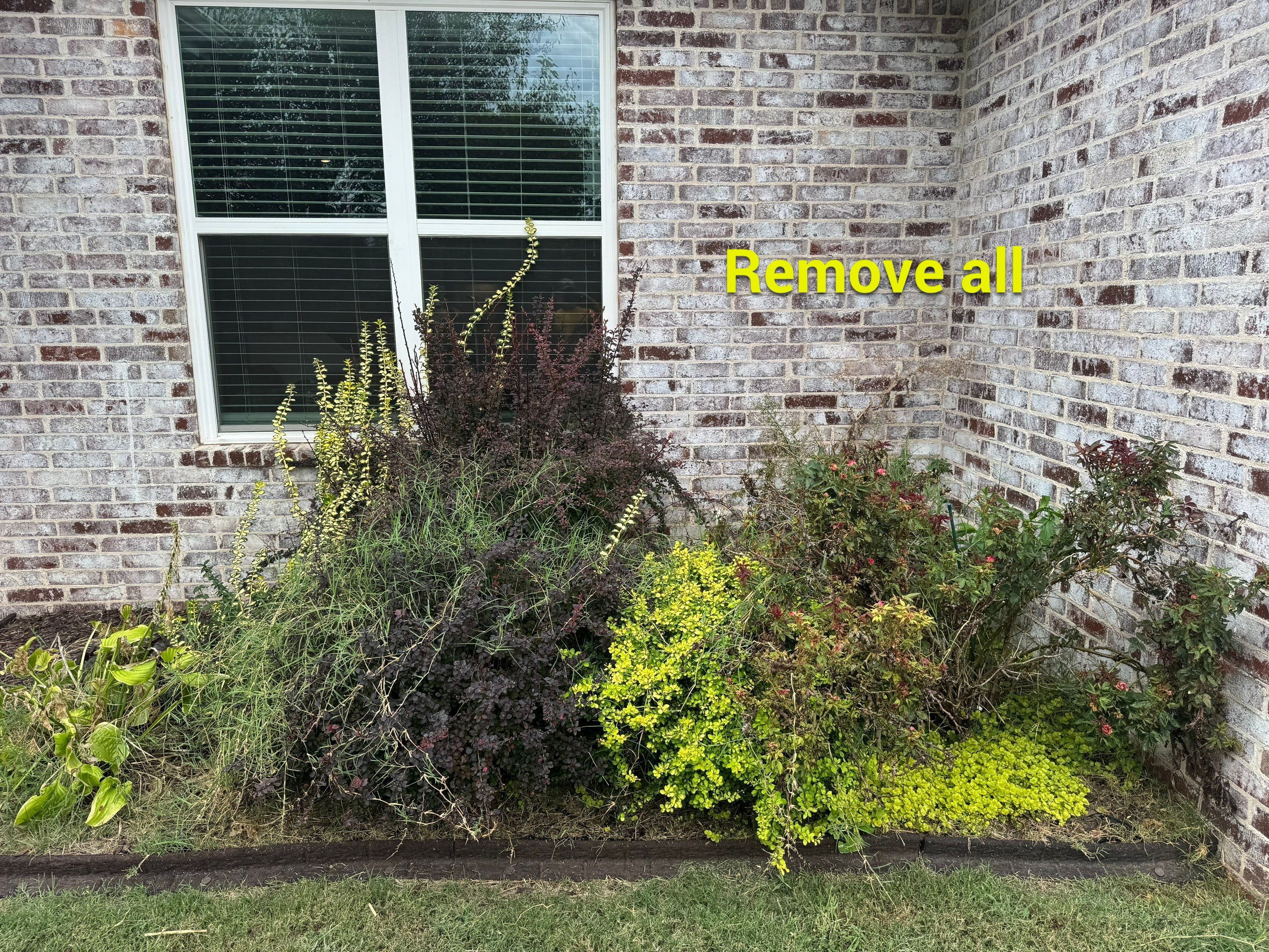 Bed Cleanout by GGNWA