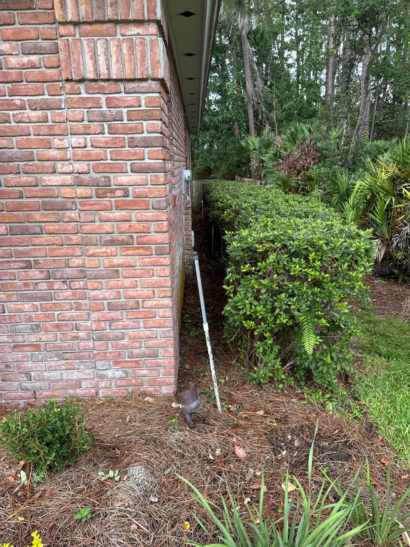 Residential | Shrub Trimming by ProGreen Services