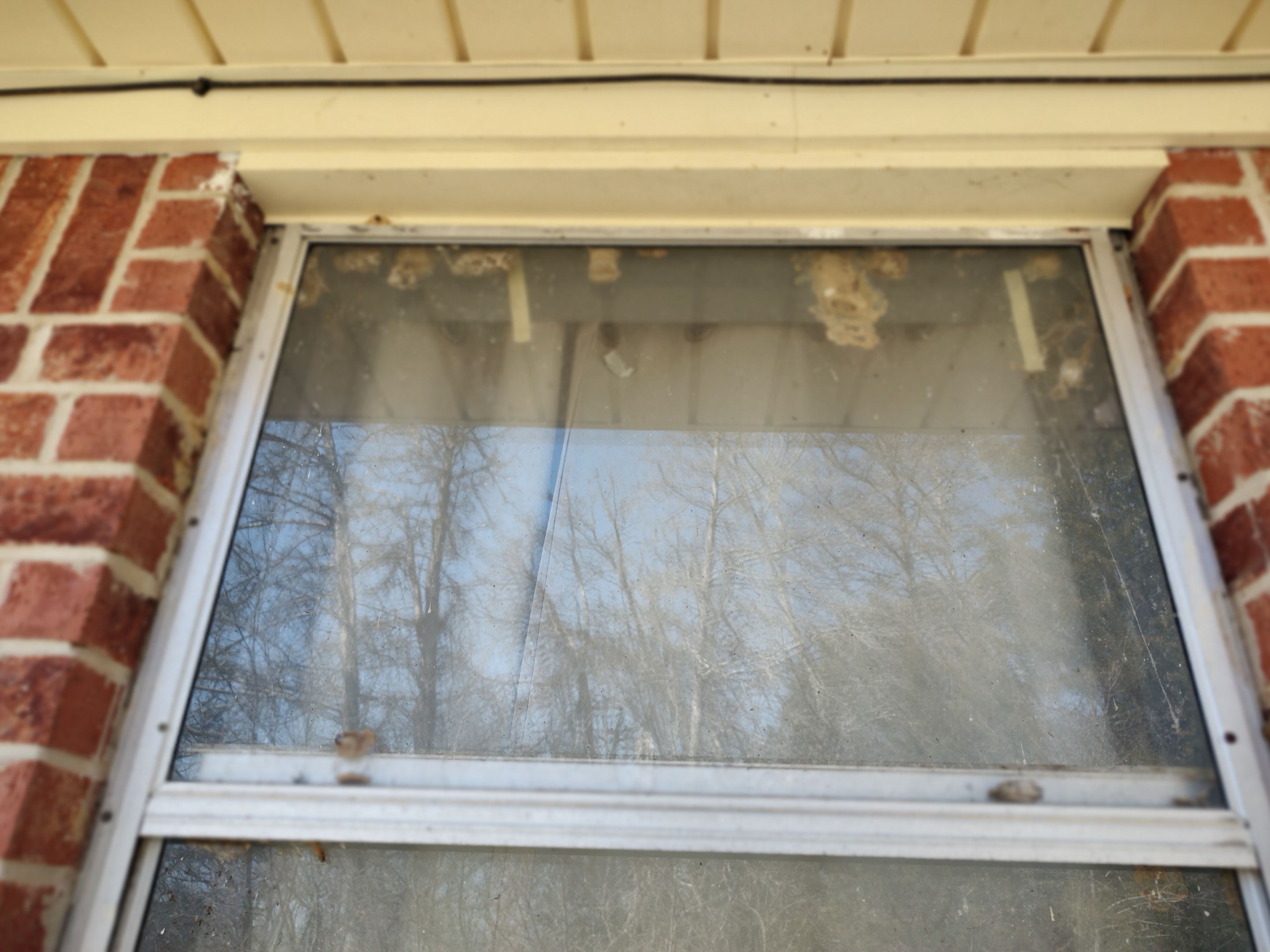 Window Installation using WeatherBarr Windows by In & Out Construction & Remodeling, LLC