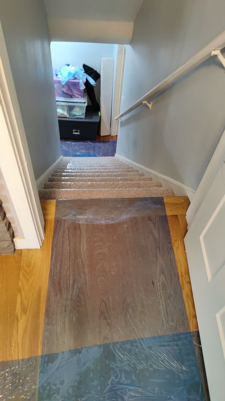 Mold Remediation by Accountable Home Services