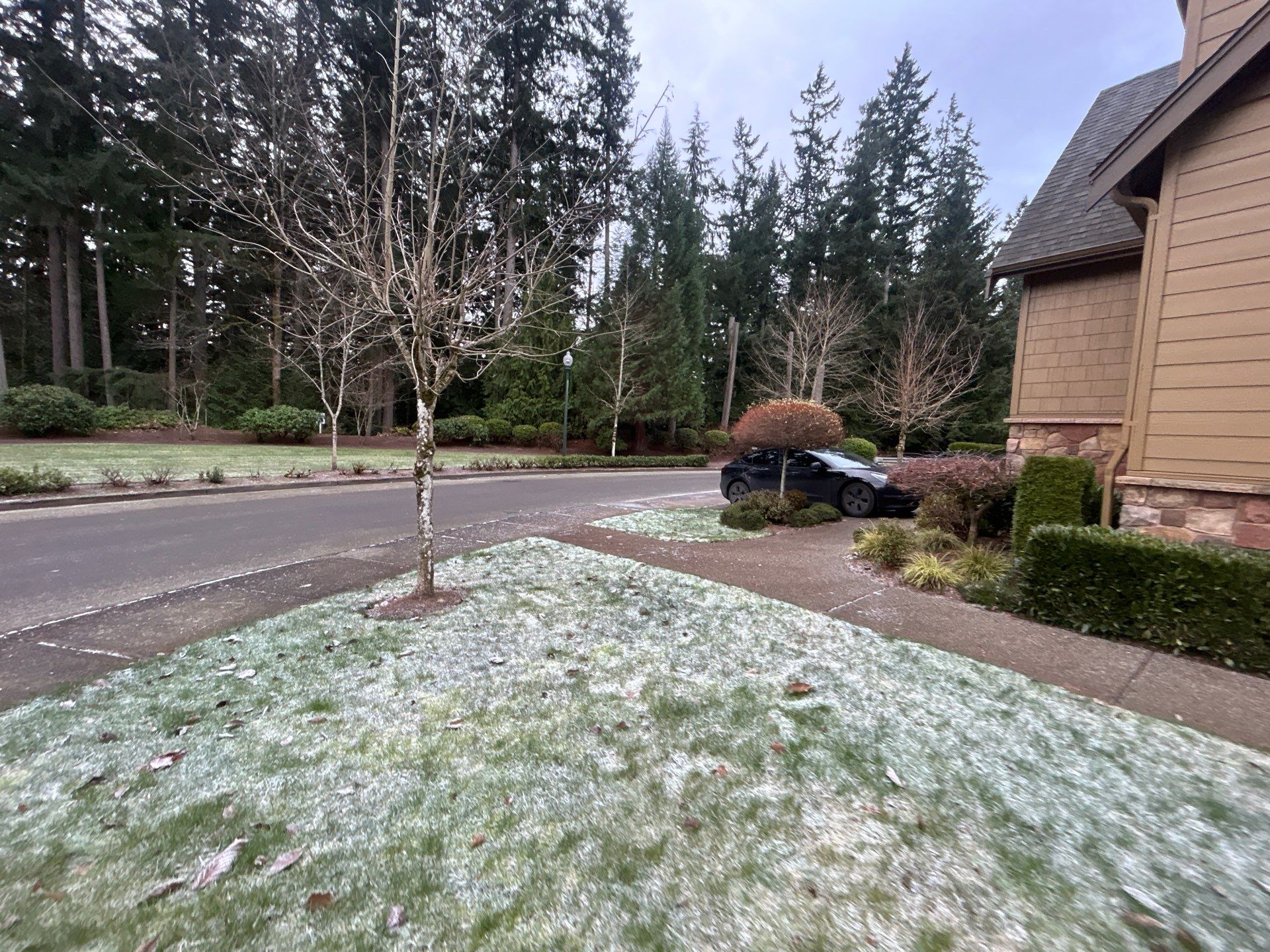 Project in Mukilteo by Peaks and Valleys Construction