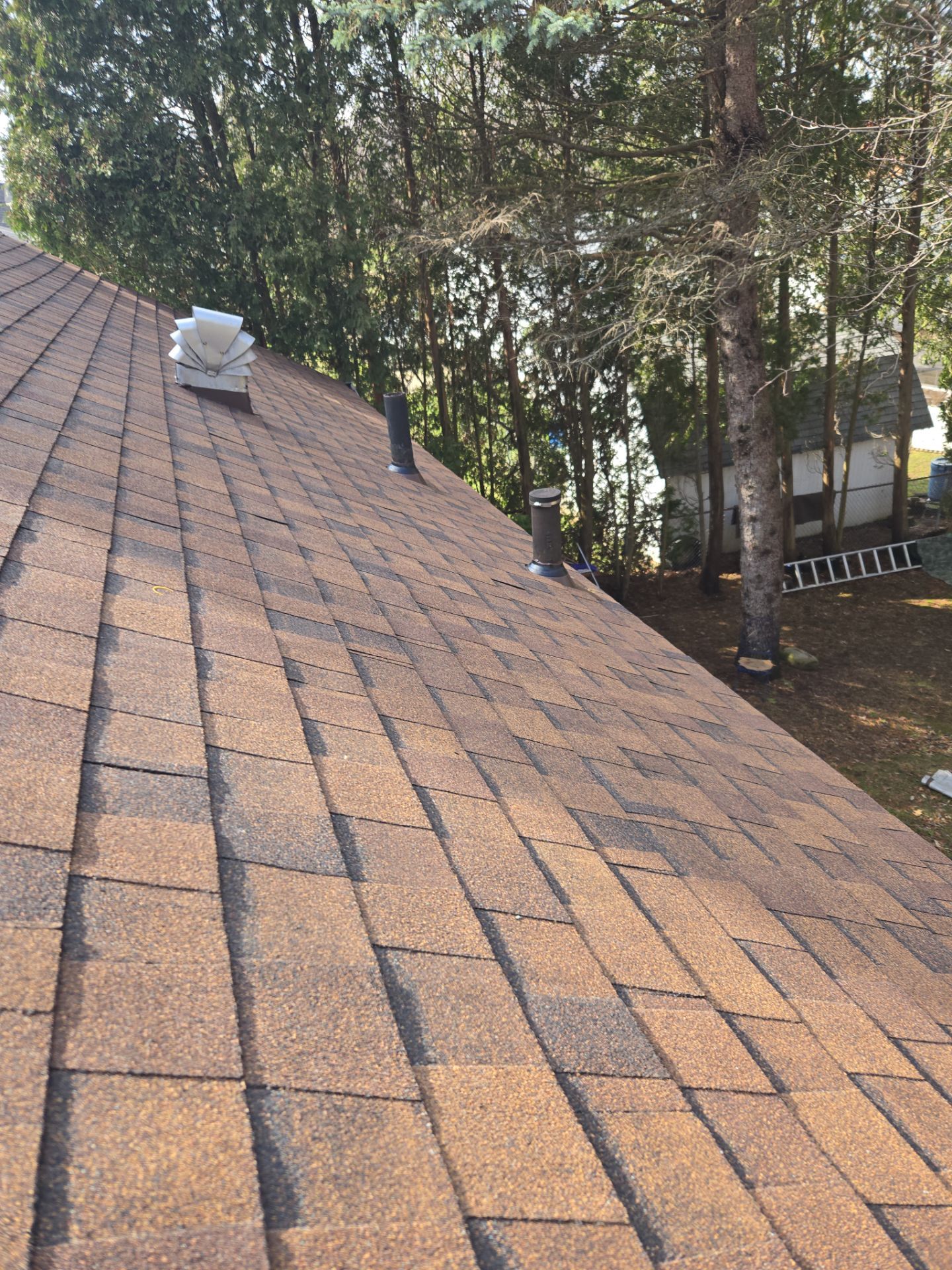 Rodney R: Atlas Pinnacle, Color, Burnt Hickory, Drip Edge, Color, Musket Brown by Eagle Eye Roofing