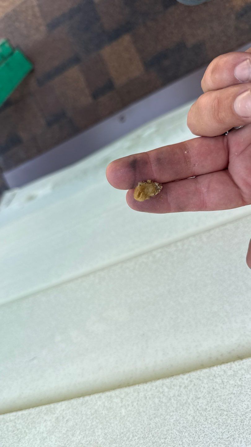 Roof Replacement using Owens Corning Brownwood by 180 Contractors