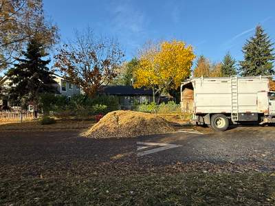 Free Wood Chip Delivery & Chip Drop in SeaTac, WA