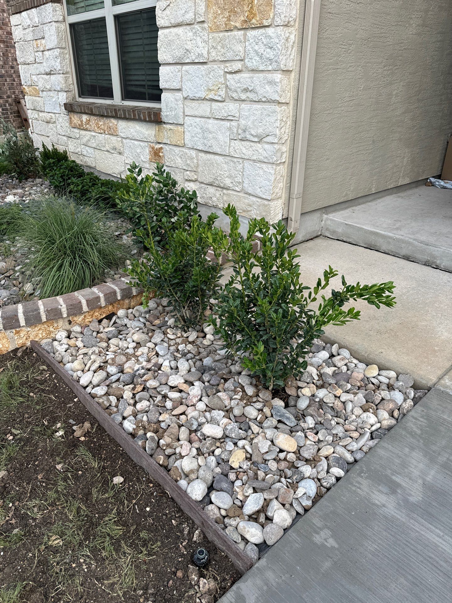 Wortham Oaks - San Antonio, TX by Hole In One Lawns, LLC
