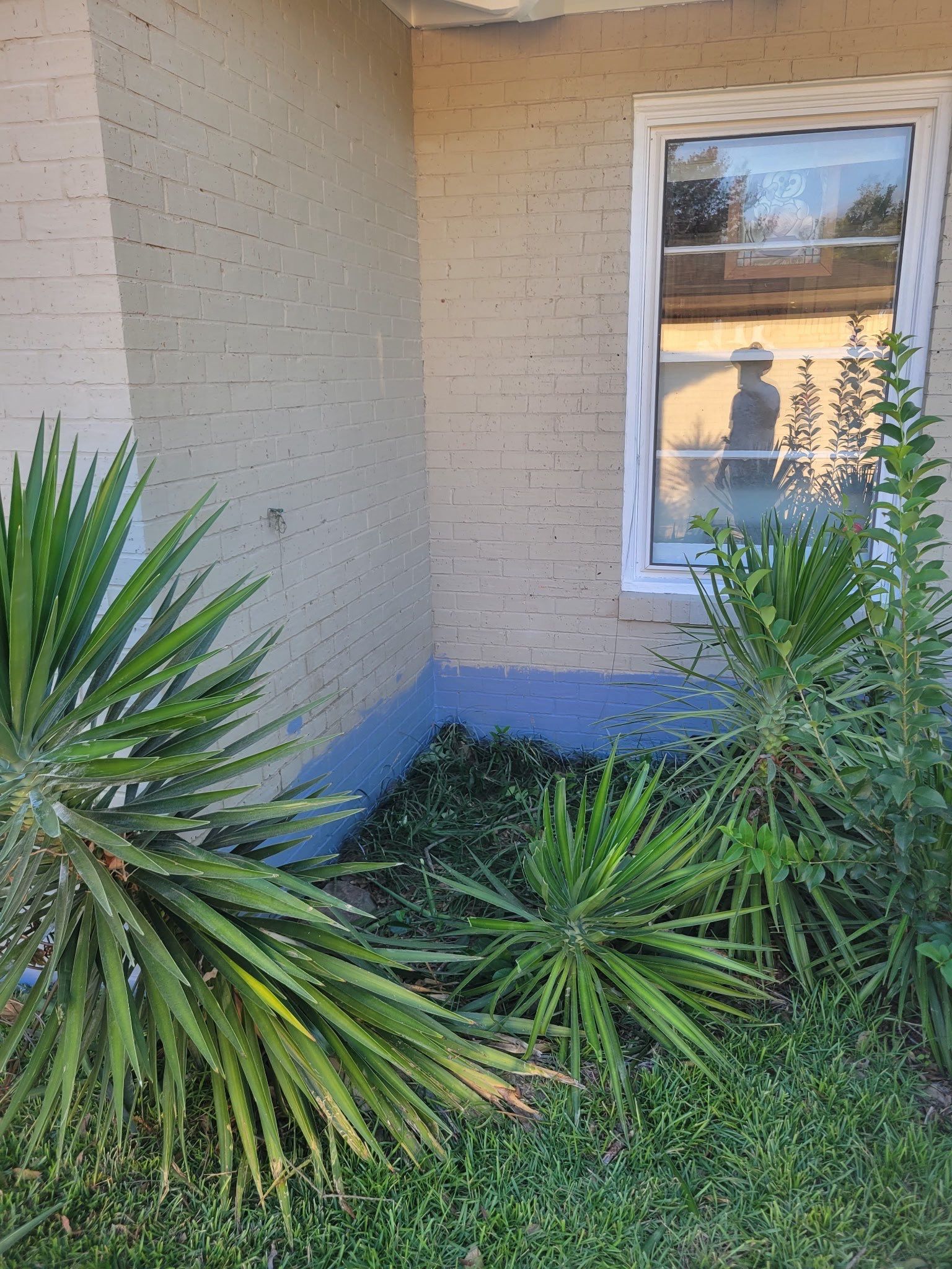 From Forgettable to Modern: An Exterior Brick Paint Job in Tyler TX by Quality Coats Painting
