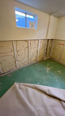 Mold Remediation