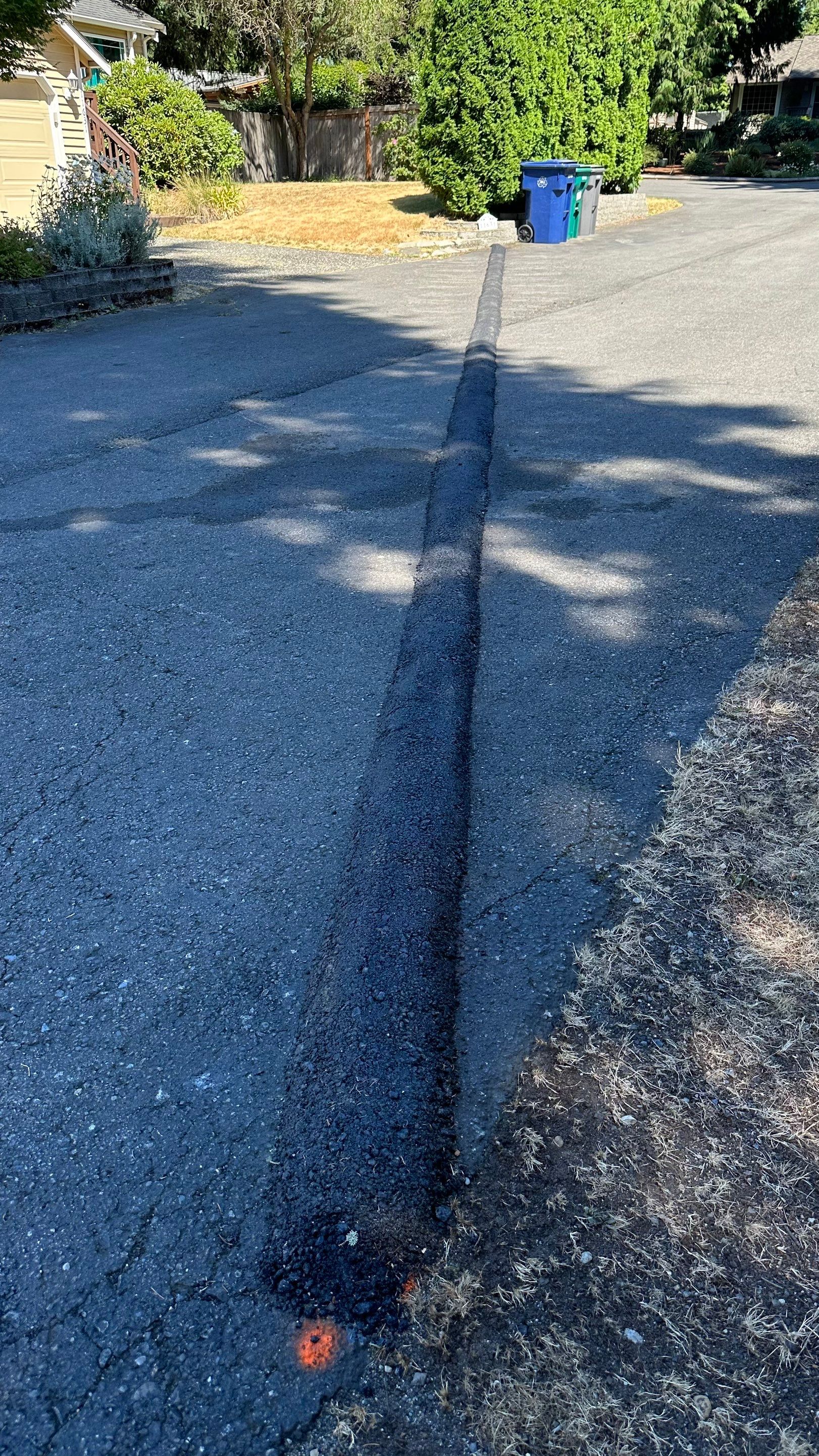 Chase | Driveway Repair, Concrete Project   by Jireh Asphalt & Concrete Inc 